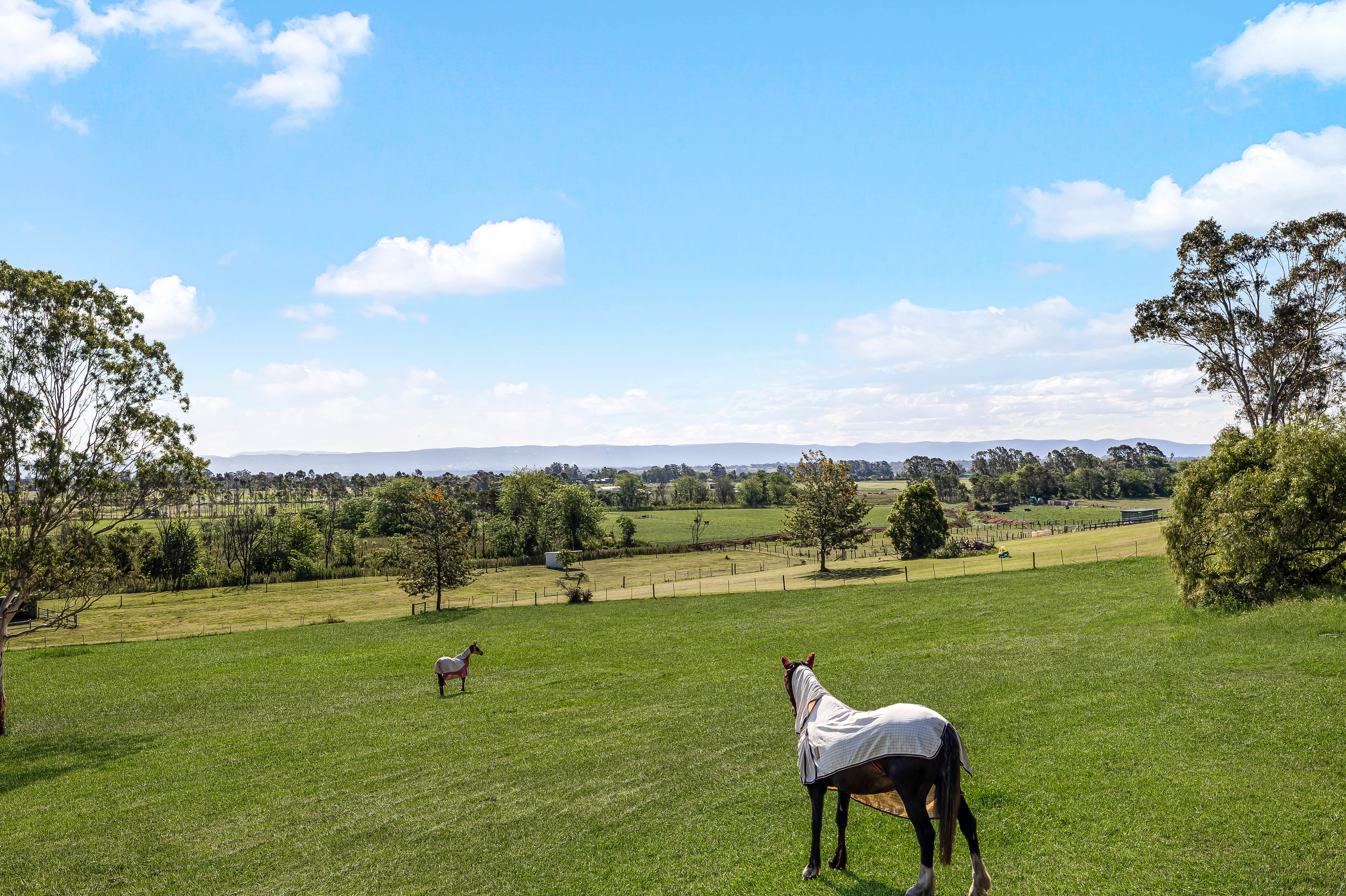 6 Church Street, Pitt Town For Sale by Cutcliffe Properties - image 24