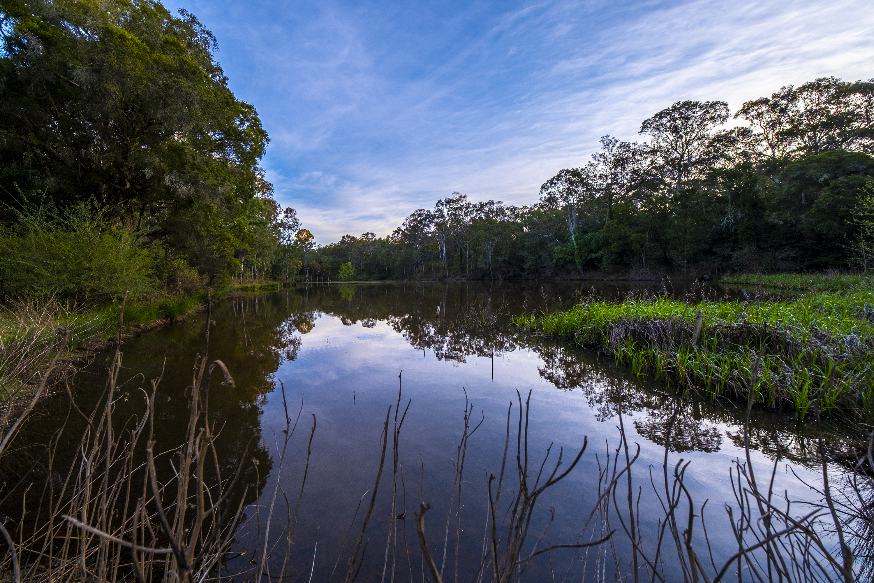 Cattai For Sale by Cutcliffe Properties - image 13