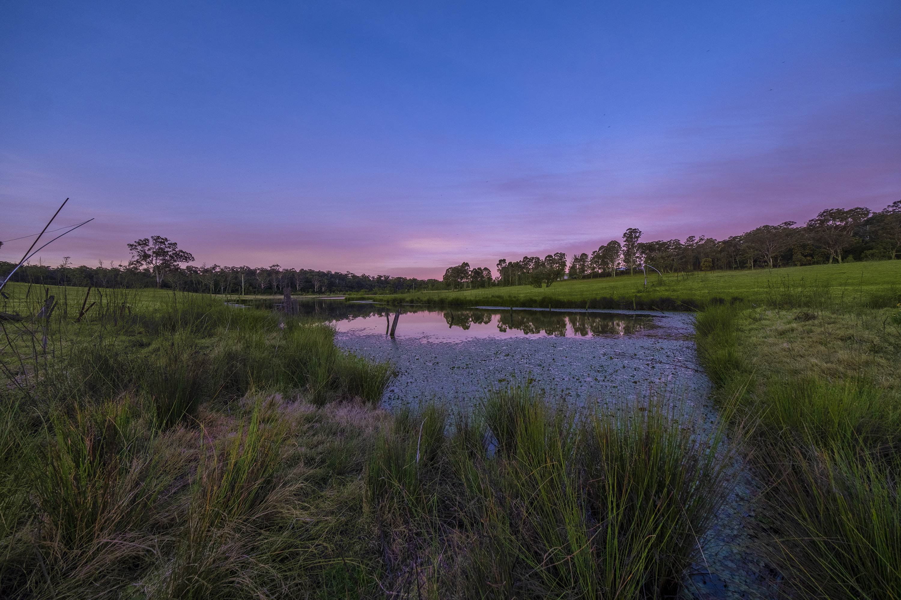 Cattai For Sale by Cutcliffe Properties - image 6