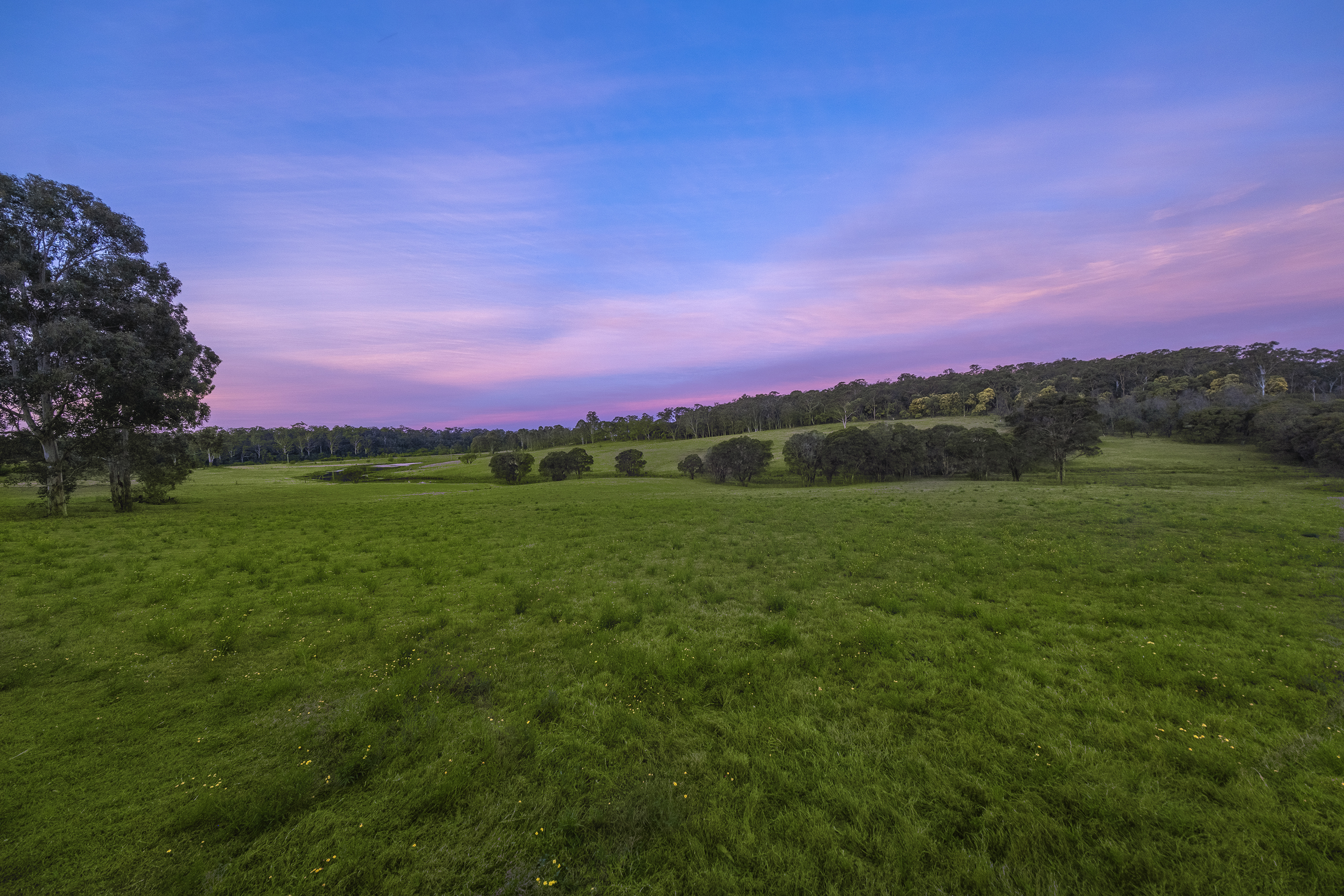 Cattai For Sale by Cutcliffe Properties - image 9
