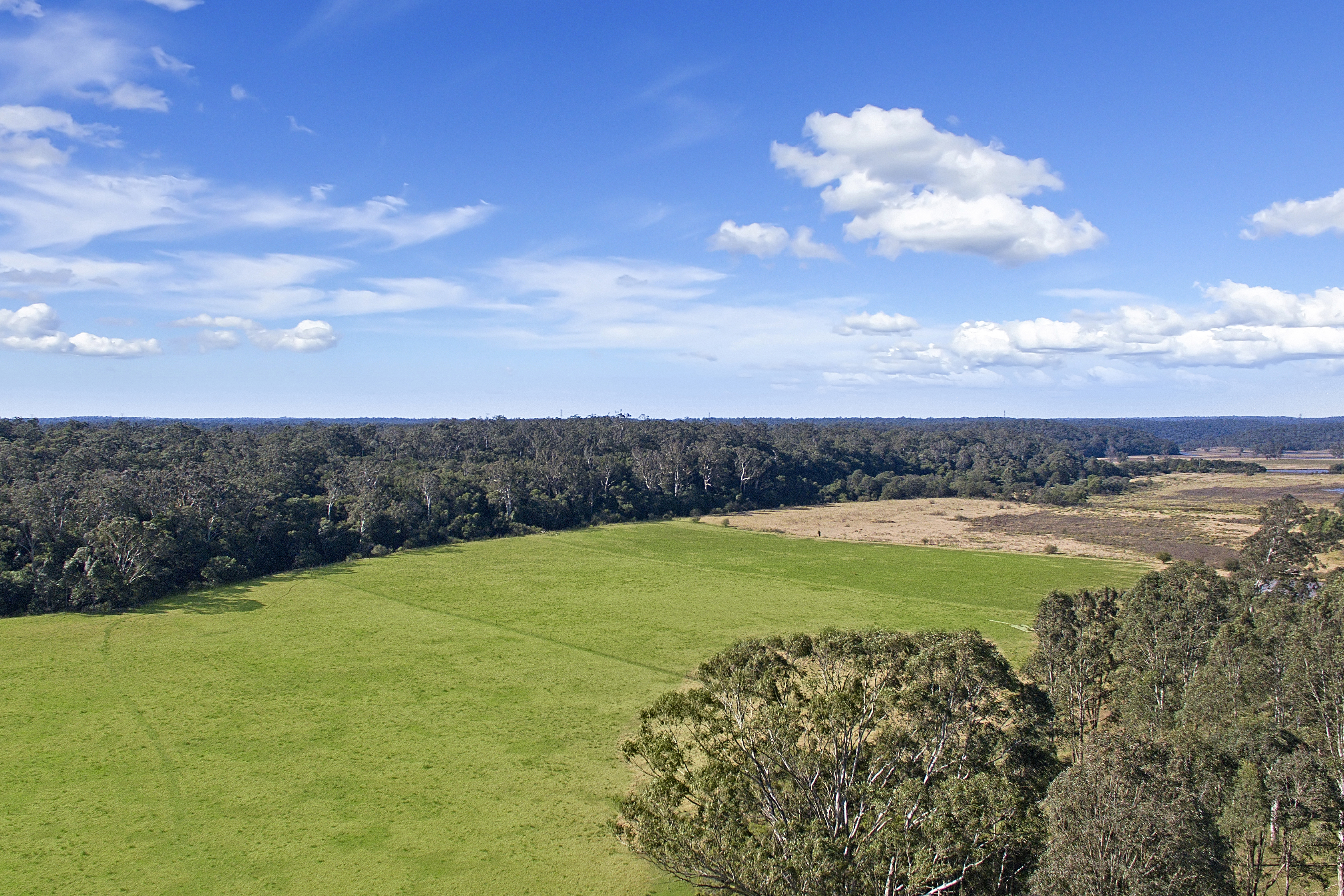 Cattai For Sale by Cutcliffe Properties - image 11