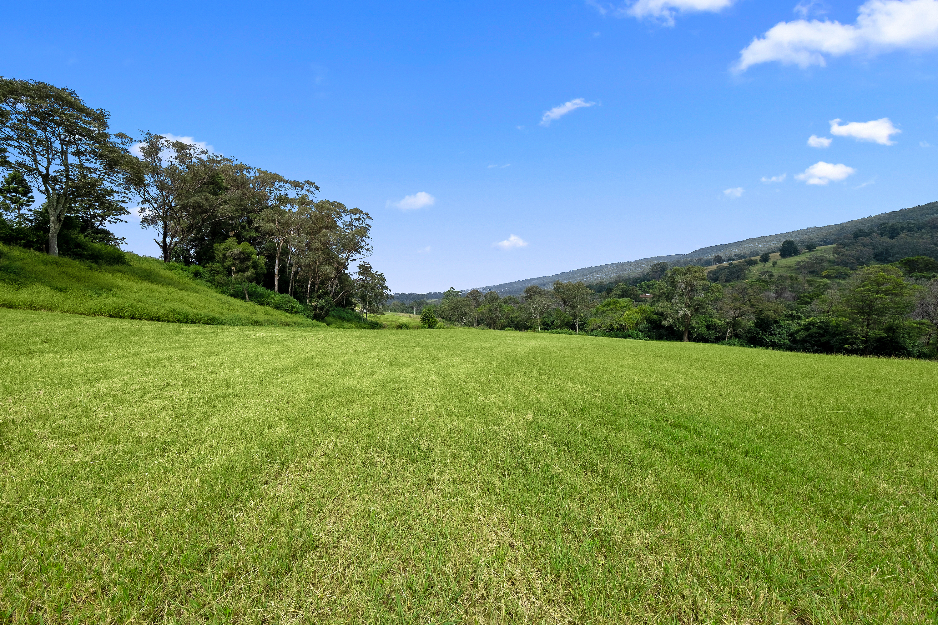 915 Bells Line of Road, Kurrajong Hills Sold by Cutcliffe Properties - image 31