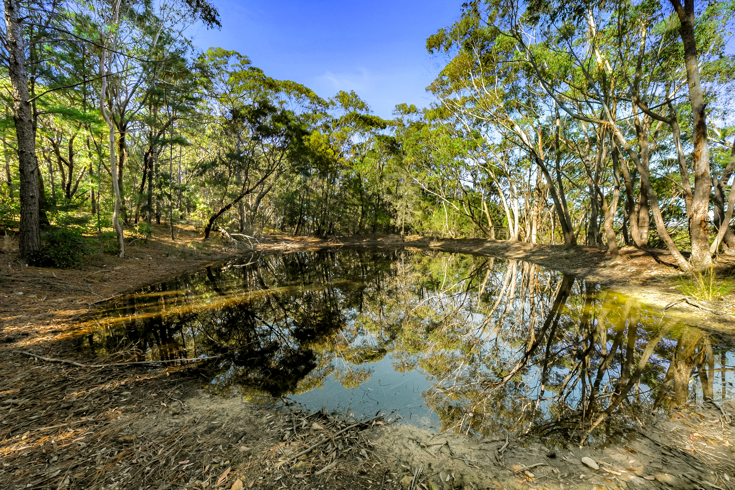 70a Quarry Road, Dural For Sale by Cutcliffe Properties - image 5