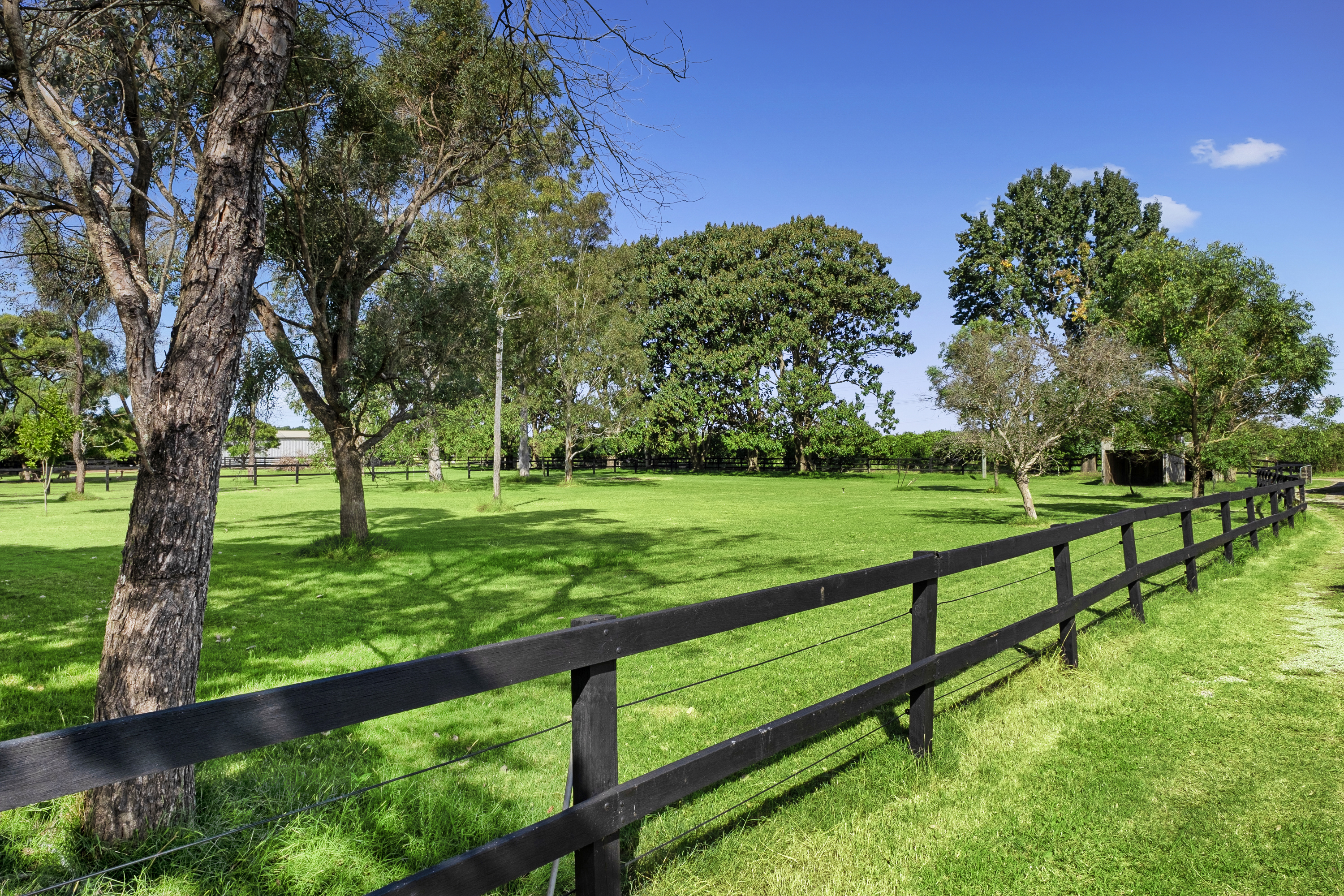 63 Cordners Lane, Cornwallis For Sale by Cutcliffe Properties - image 30