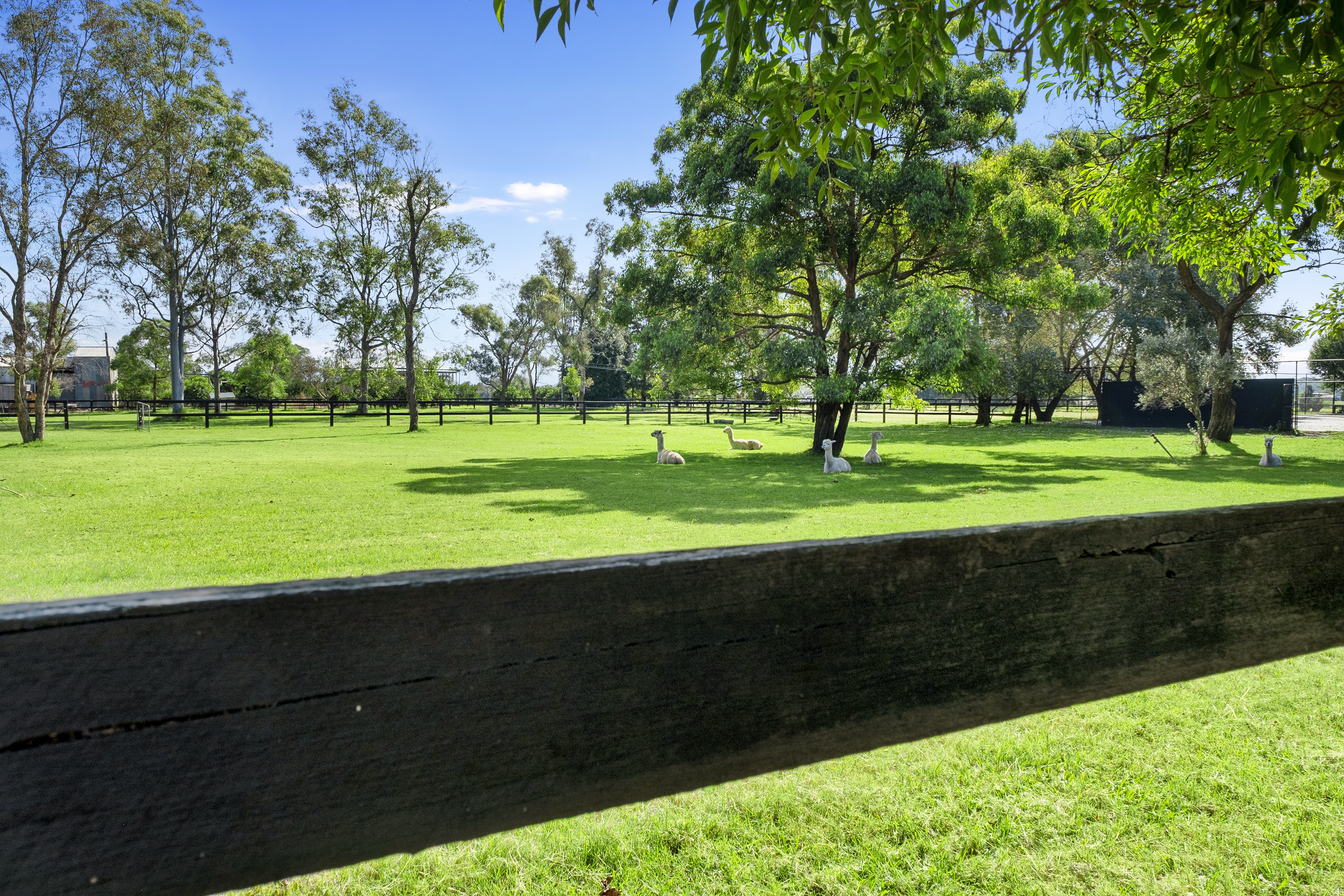 63 Cordners Lane, Cornwallis For Sale by Cutcliffe Properties - image 28