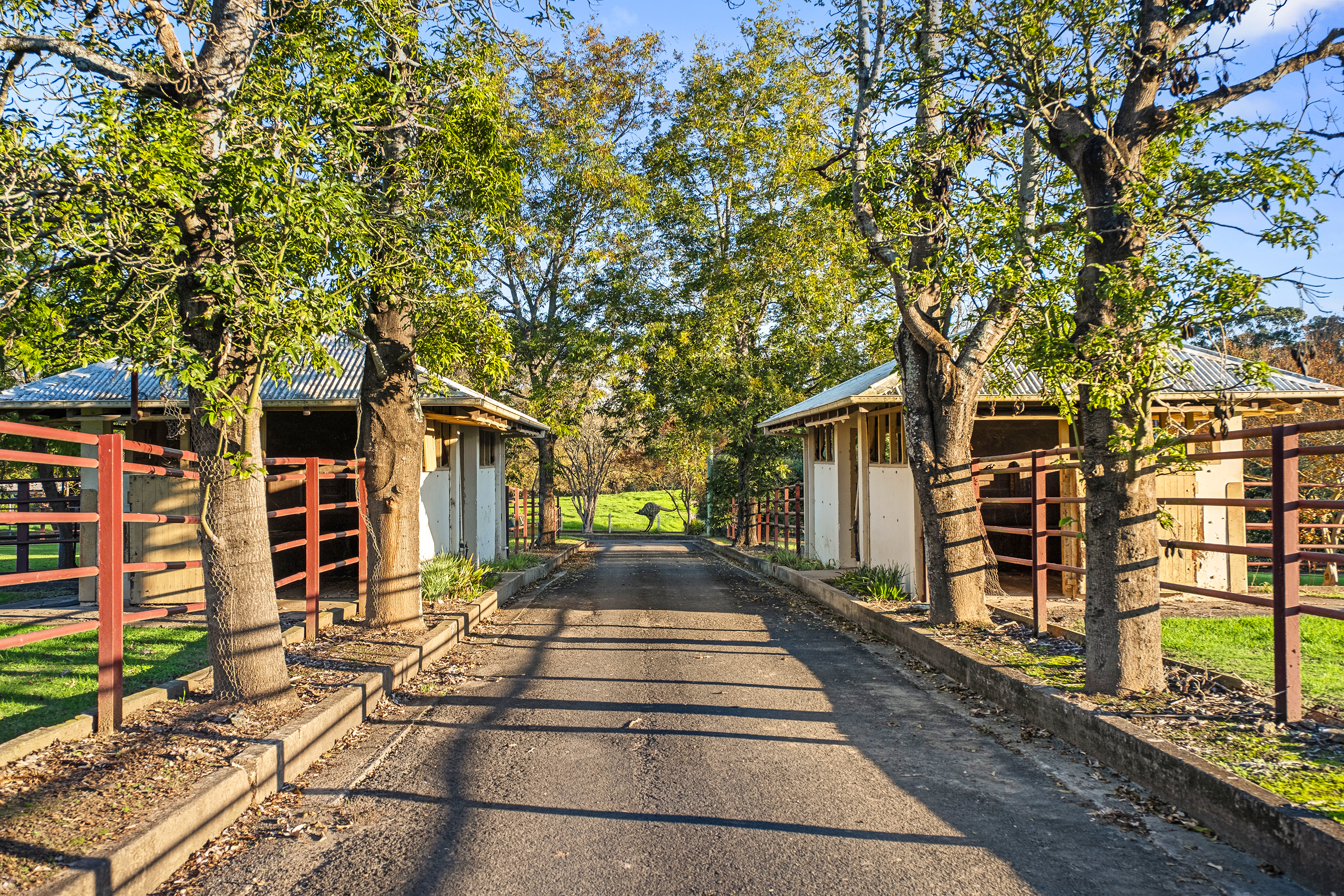 Lot 19/226-228 Grose River Road, Grose Wold Sold by Cutcliffe Properties - image 13