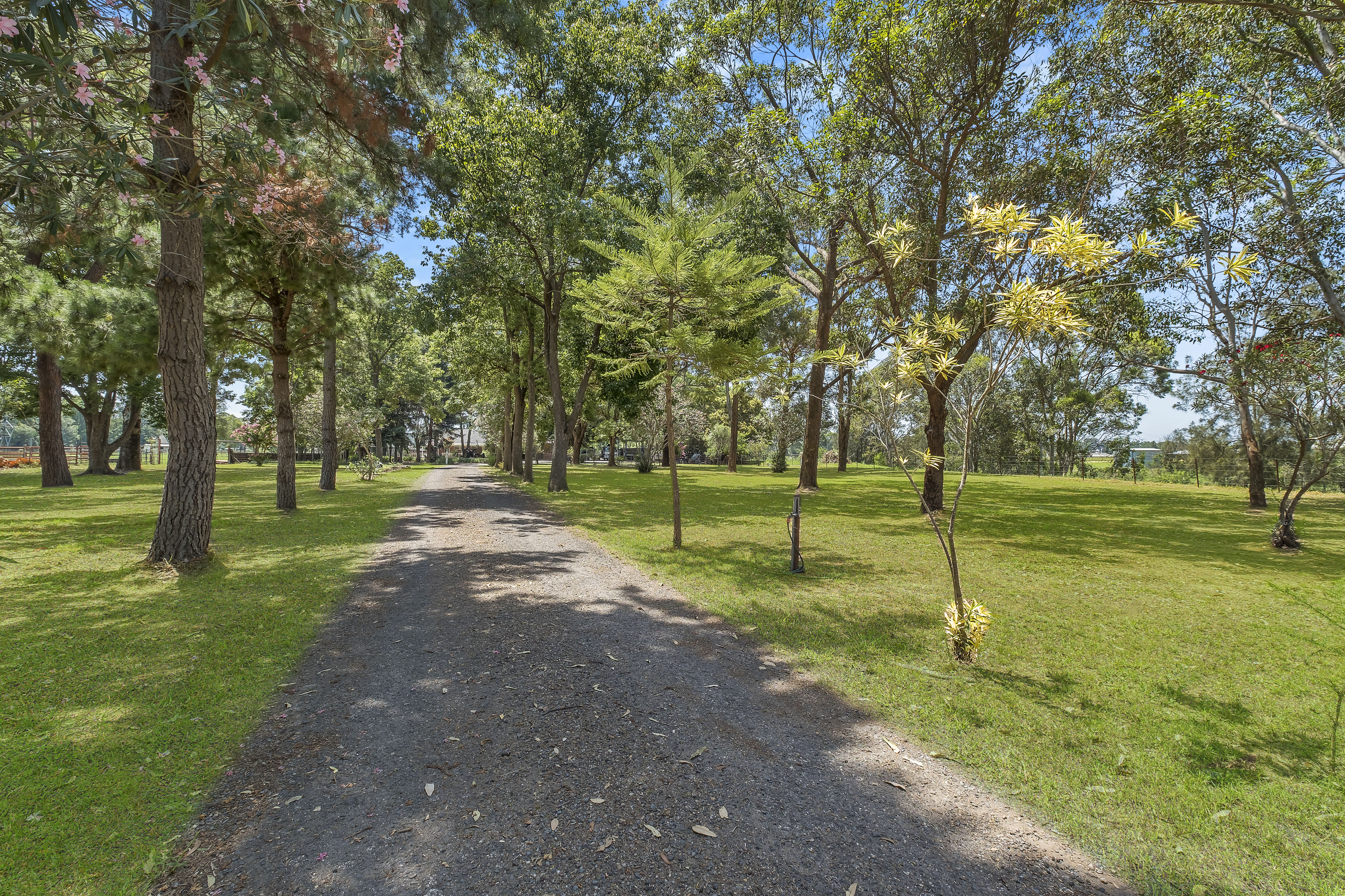 209 Seventh Avenue, Llandilo For Sale by Cutcliffe Properties - image 16