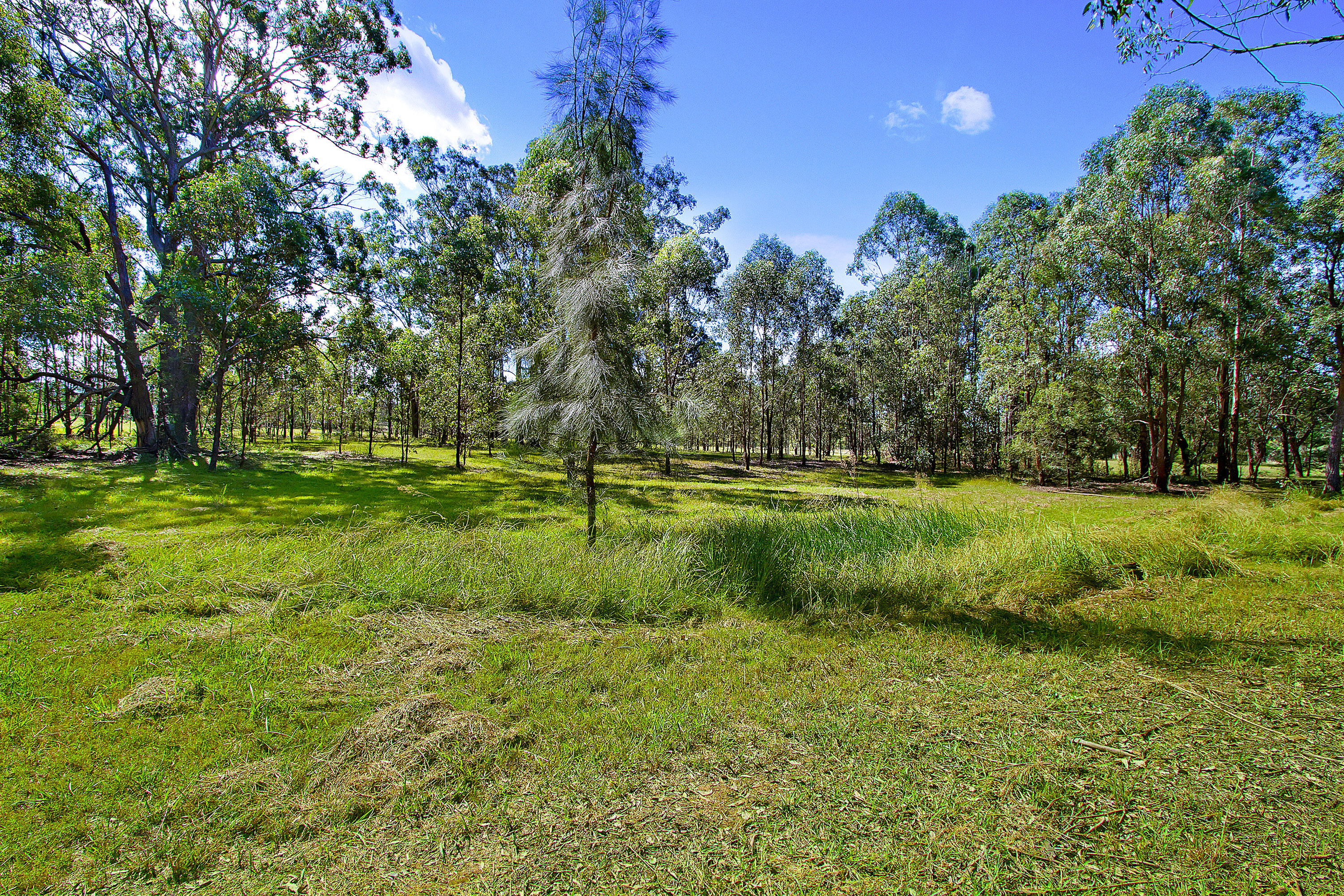 43 Meadows Road, North Richmond NSW 2754, North Richmond - Thumbnail 5