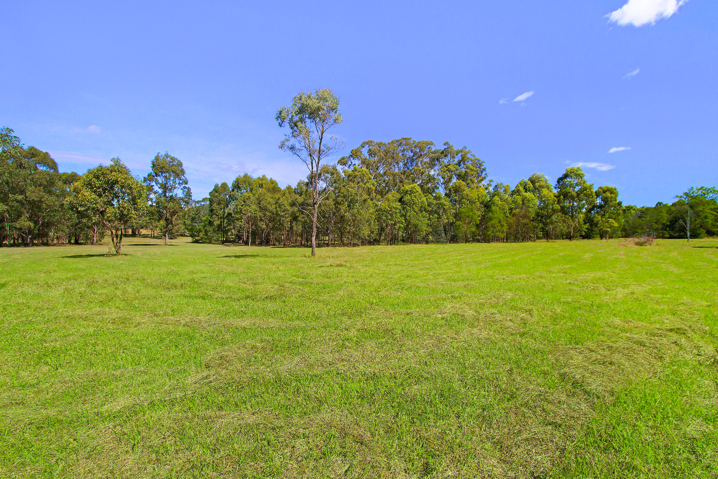43 Meadows Road, North Richmond NSW 2754, North Richmond - Thumbnail 6