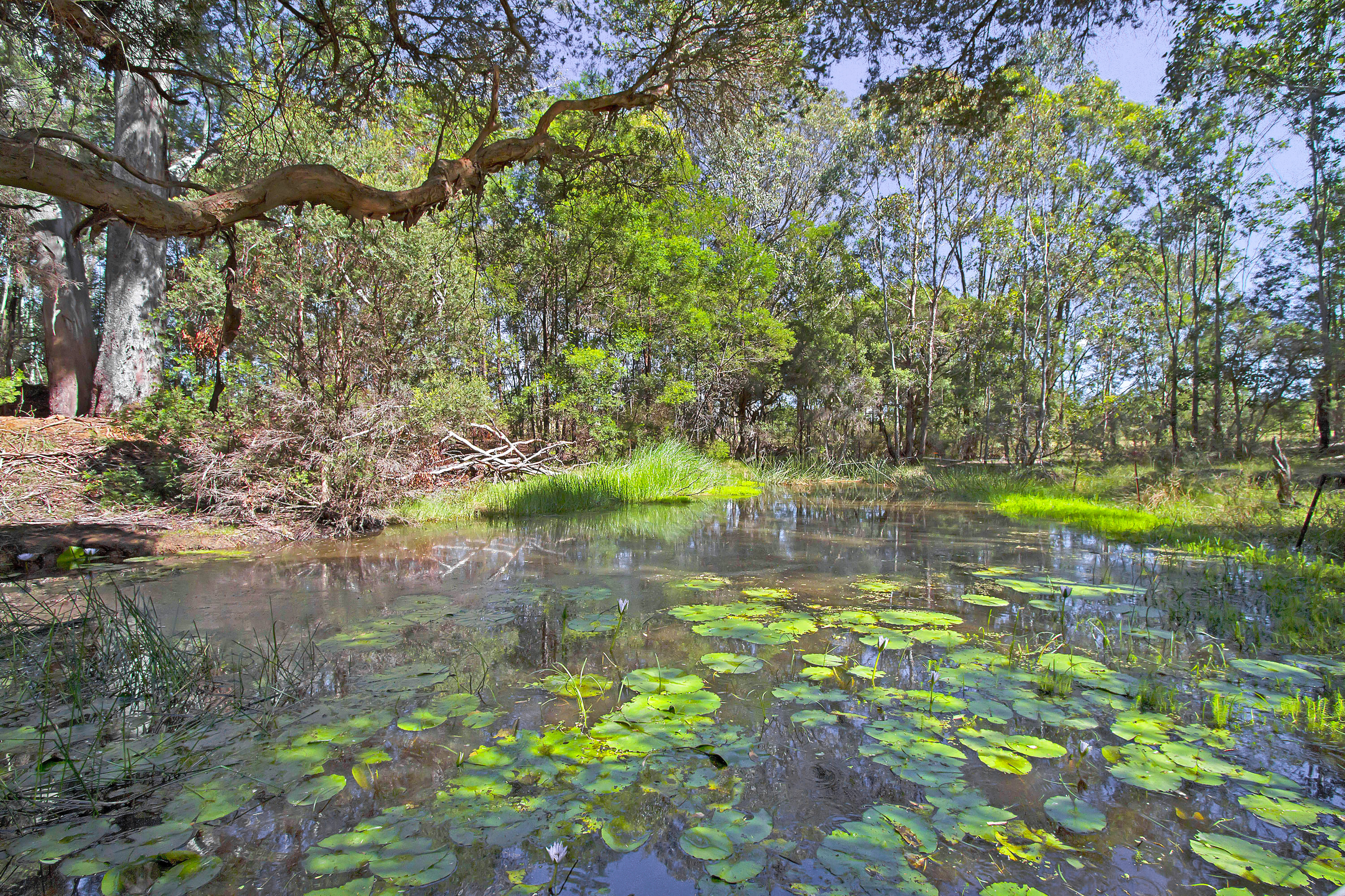 43 Meadows Road, North Richmond NSW 2754, North Richmond - Thumbnail 8