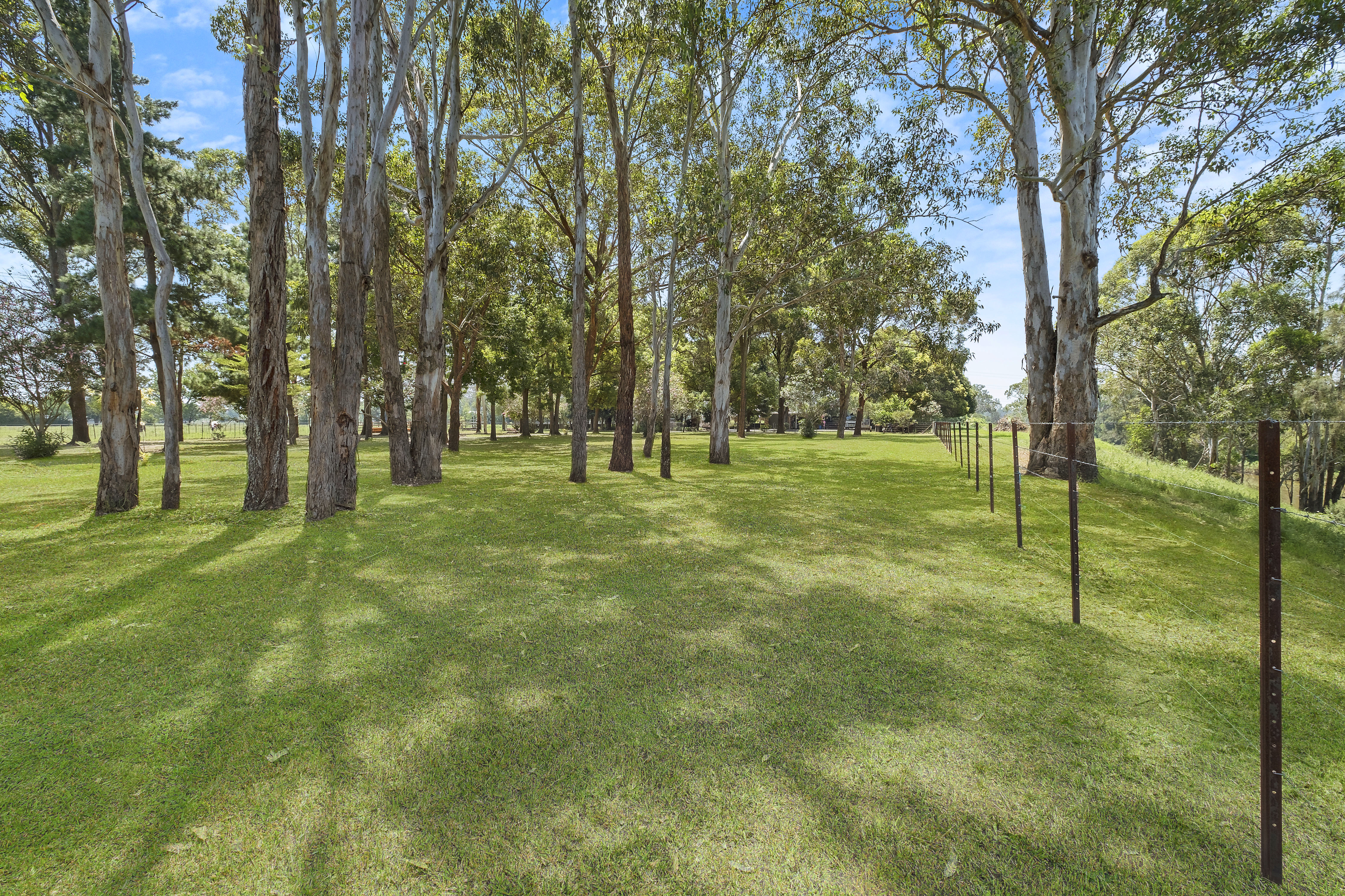 209 Seventh Avenue, Llandilo For Sale by Cutcliffe Properties - image 17