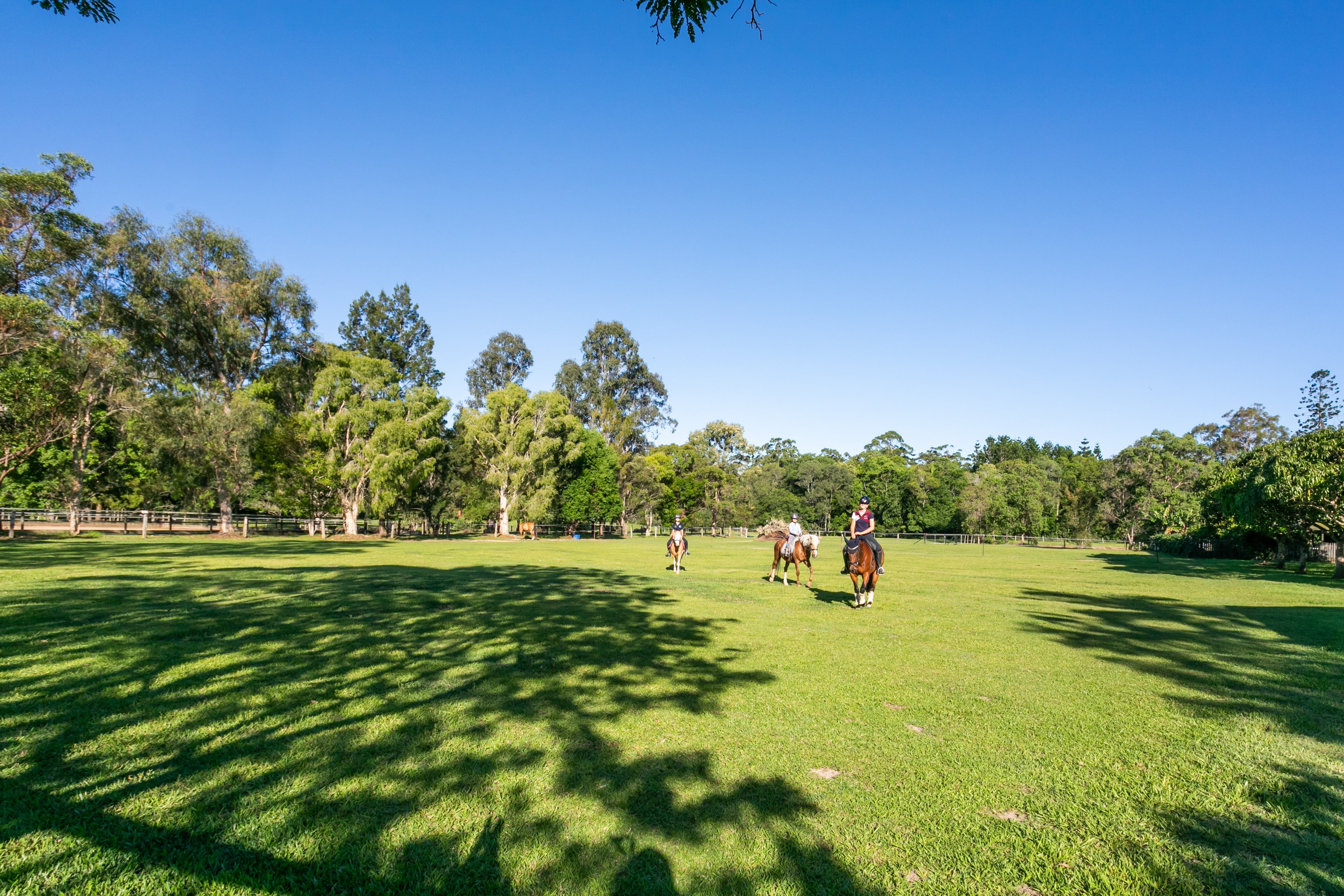 35 Lawnville Road, Cooroy For Sale by Farmbuy.com - image 34