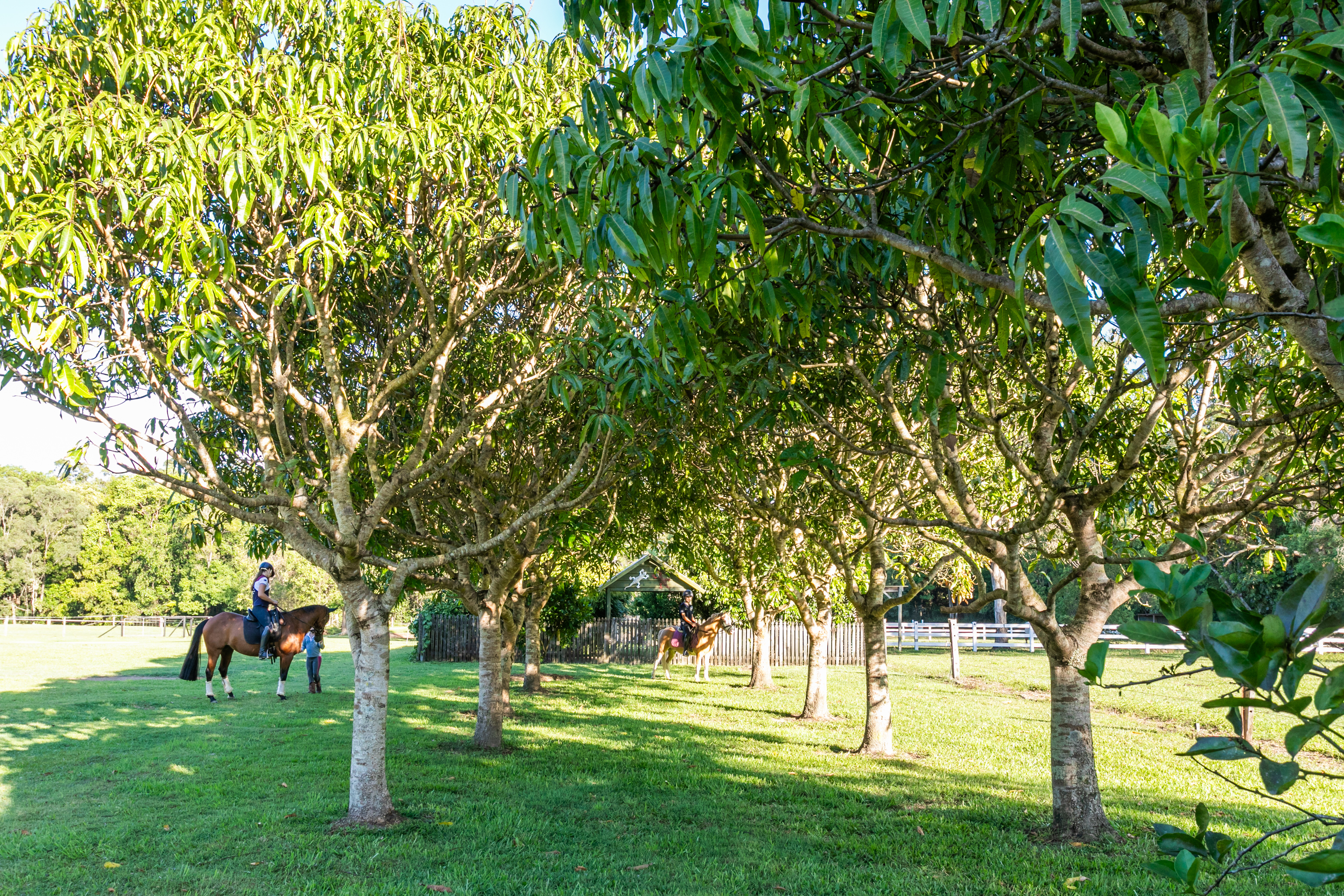 35 Lawnville Road, Cooroy For Sale by Farmbuy.com - image 28