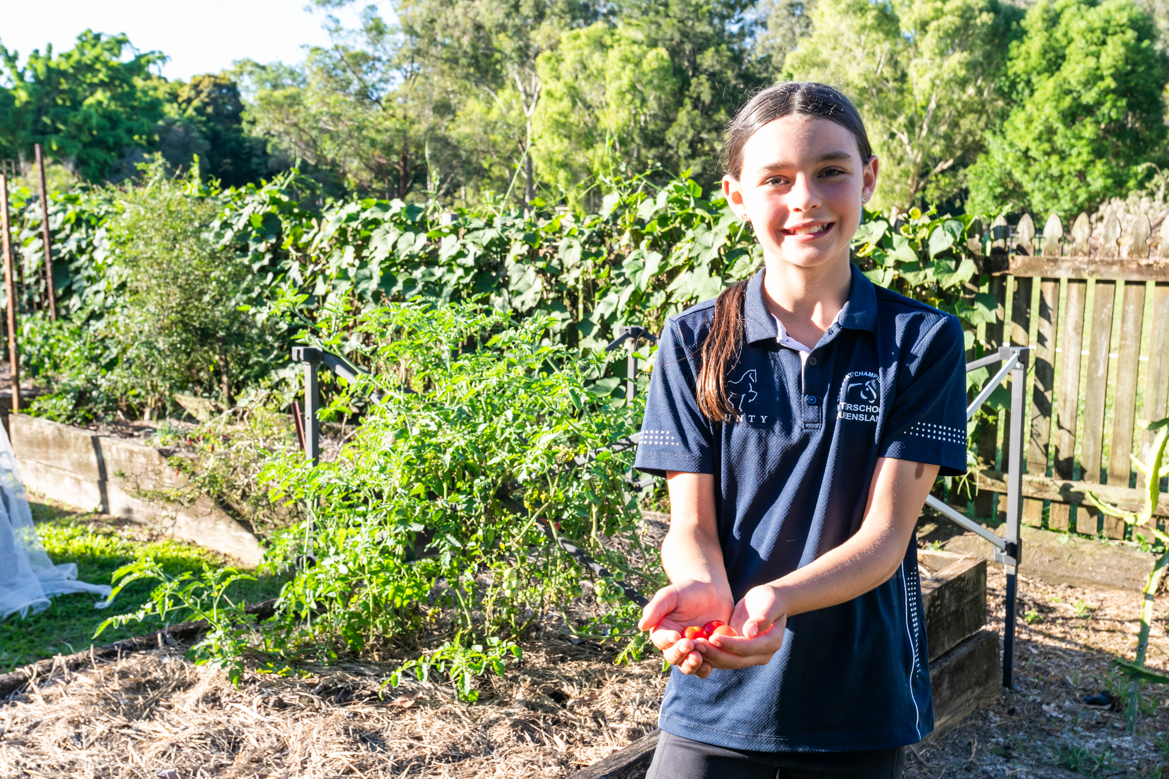 35 Lawnville Road, Cooroy For Sale by Farmbuy.com - image 26