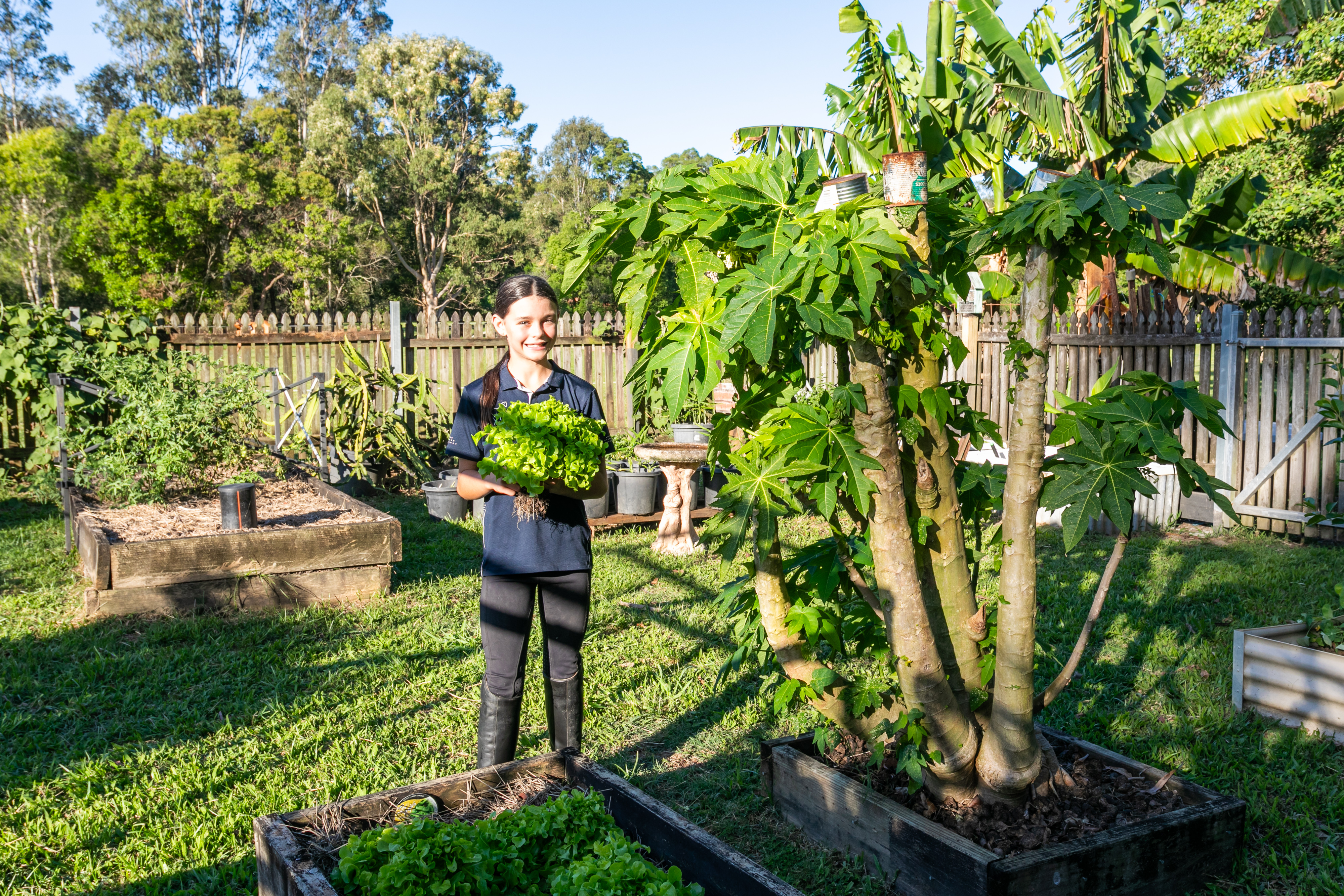 35 Lawnville Road, Cooroy For Sale by Farmbuy.com - image 27