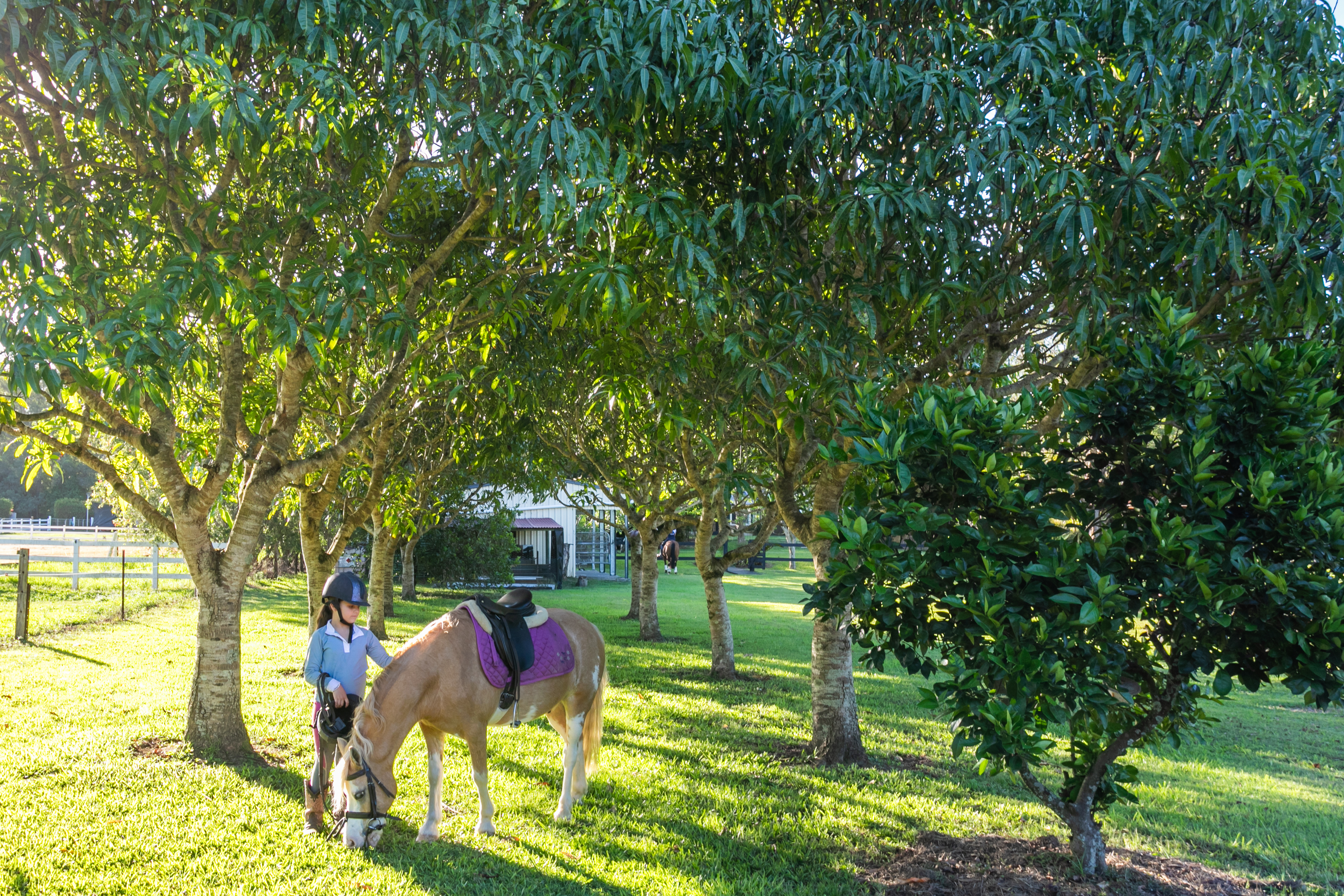 35 Lawnville Road, Cooroy For Sale by Farmbuy.com - image 33