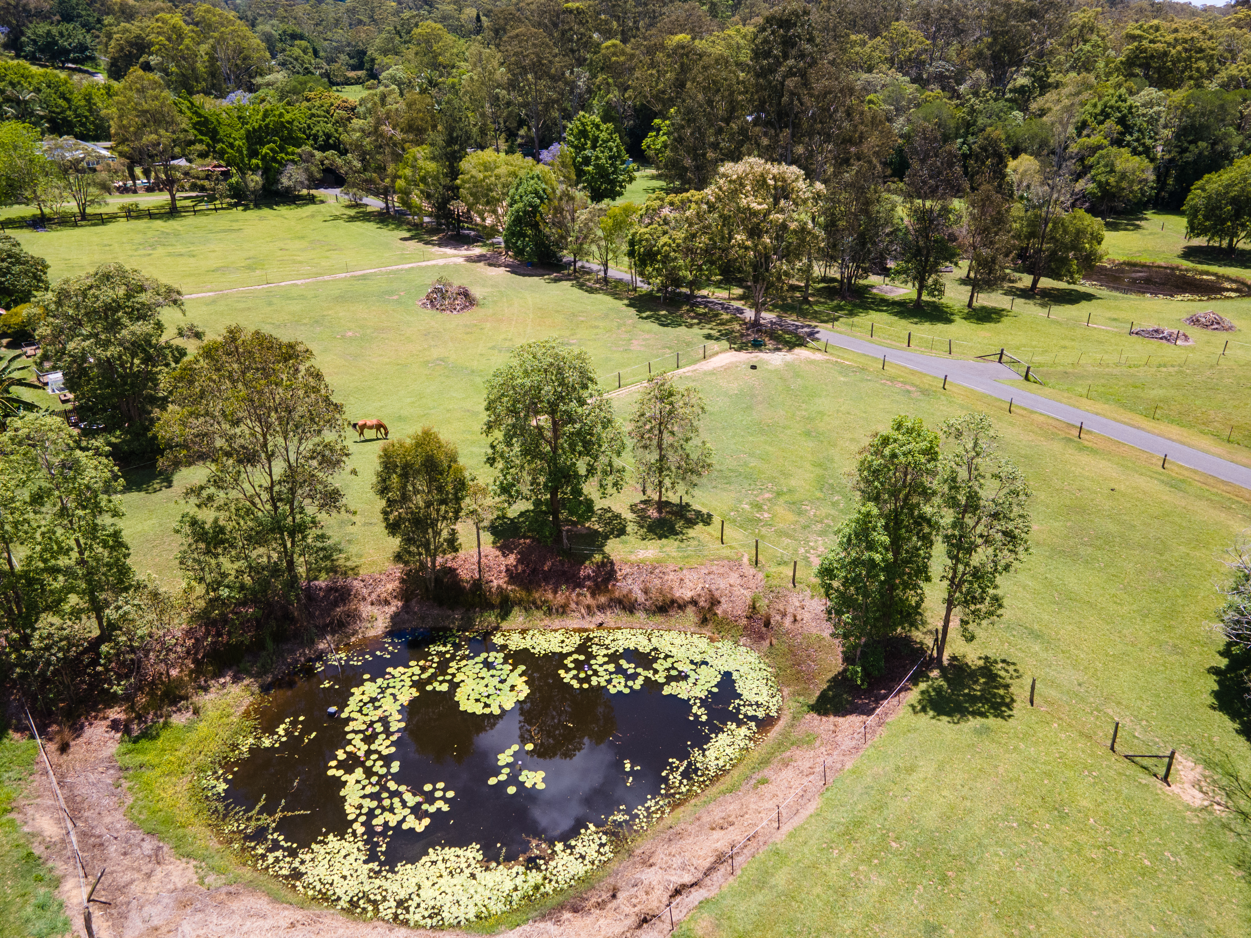 35 Lawnville Road, Cooroy For Sale by Farmbuy.com - image 35
