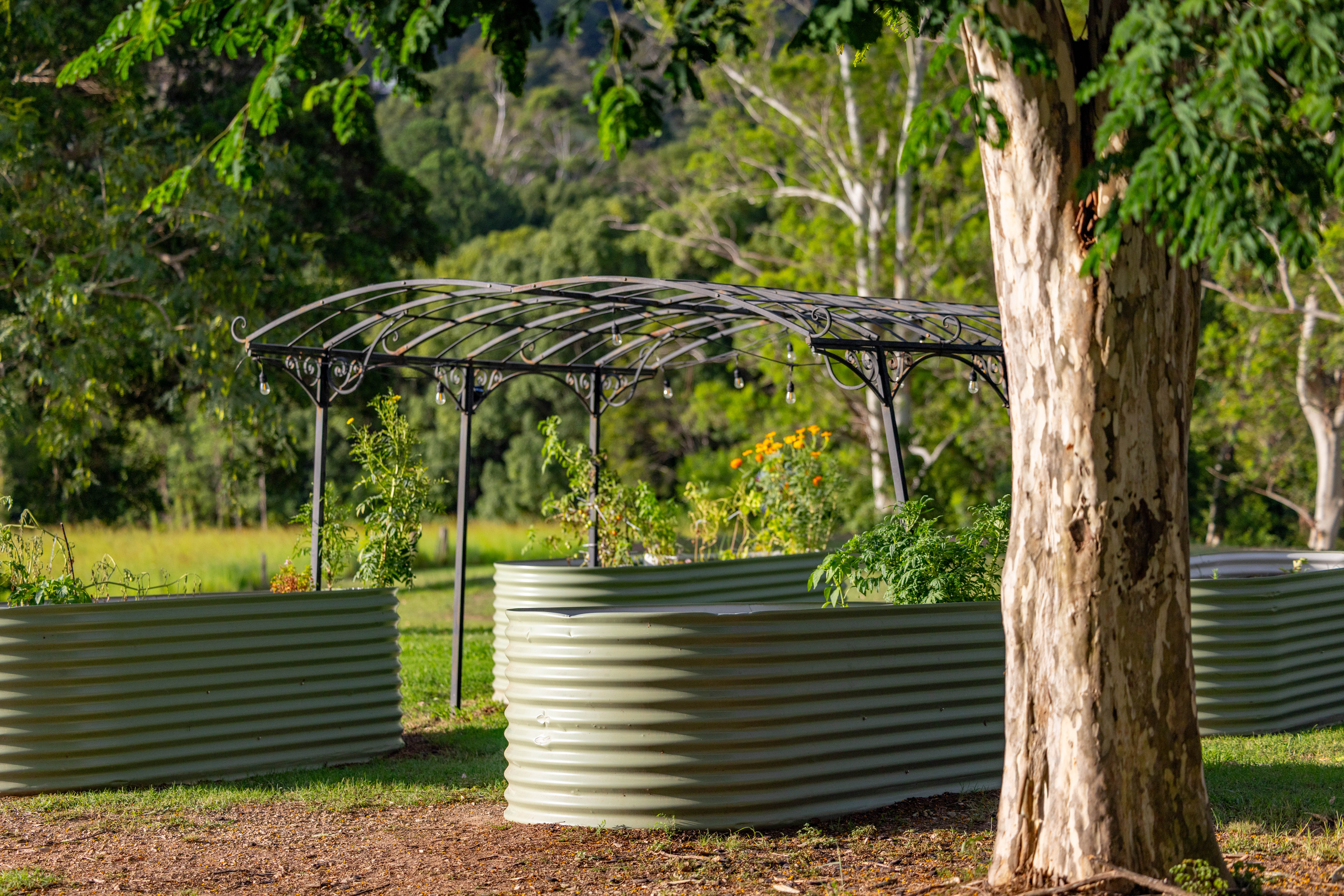 60 Ironstone Creek Road, Tuchekoi For Sale by Farmbuy.com - image 18