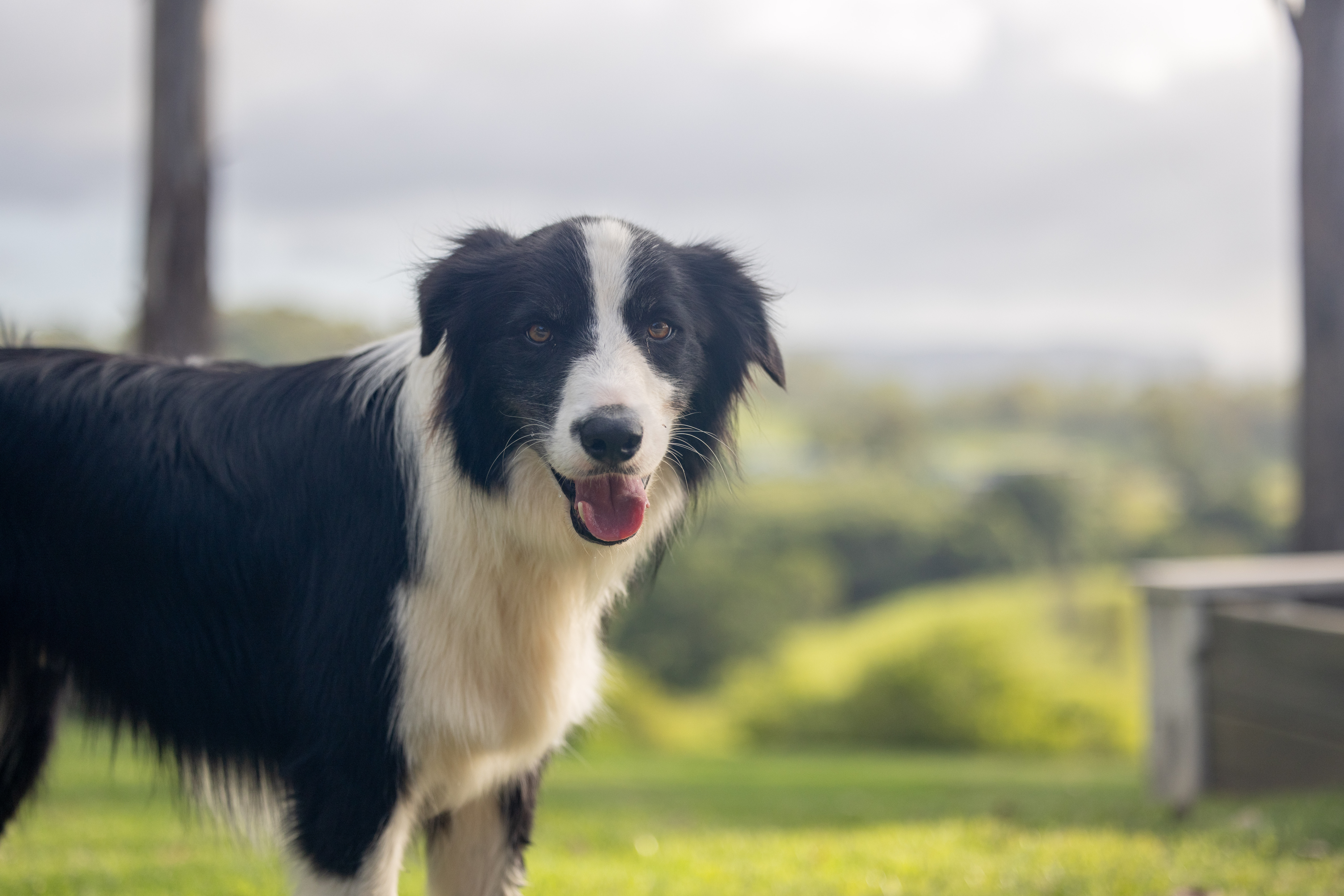 60 Ironstone Creek Road, Tuchekoi For Sale by Farmbuy.com - image 30