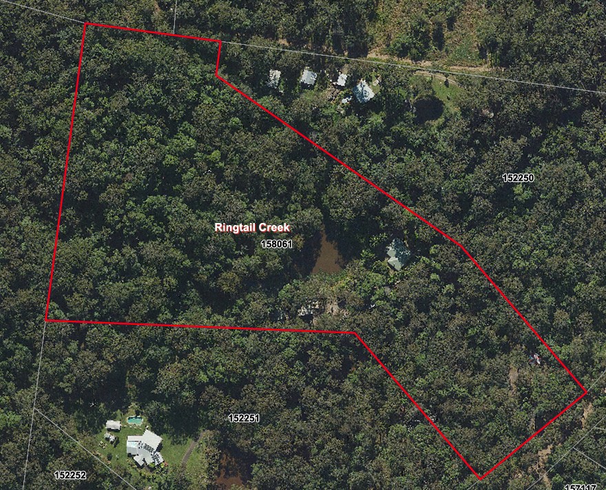 272 Ringtail Creek Road RINGTAIL CREEK QLD 4565, Ringtail Creek - Thumbnail 4