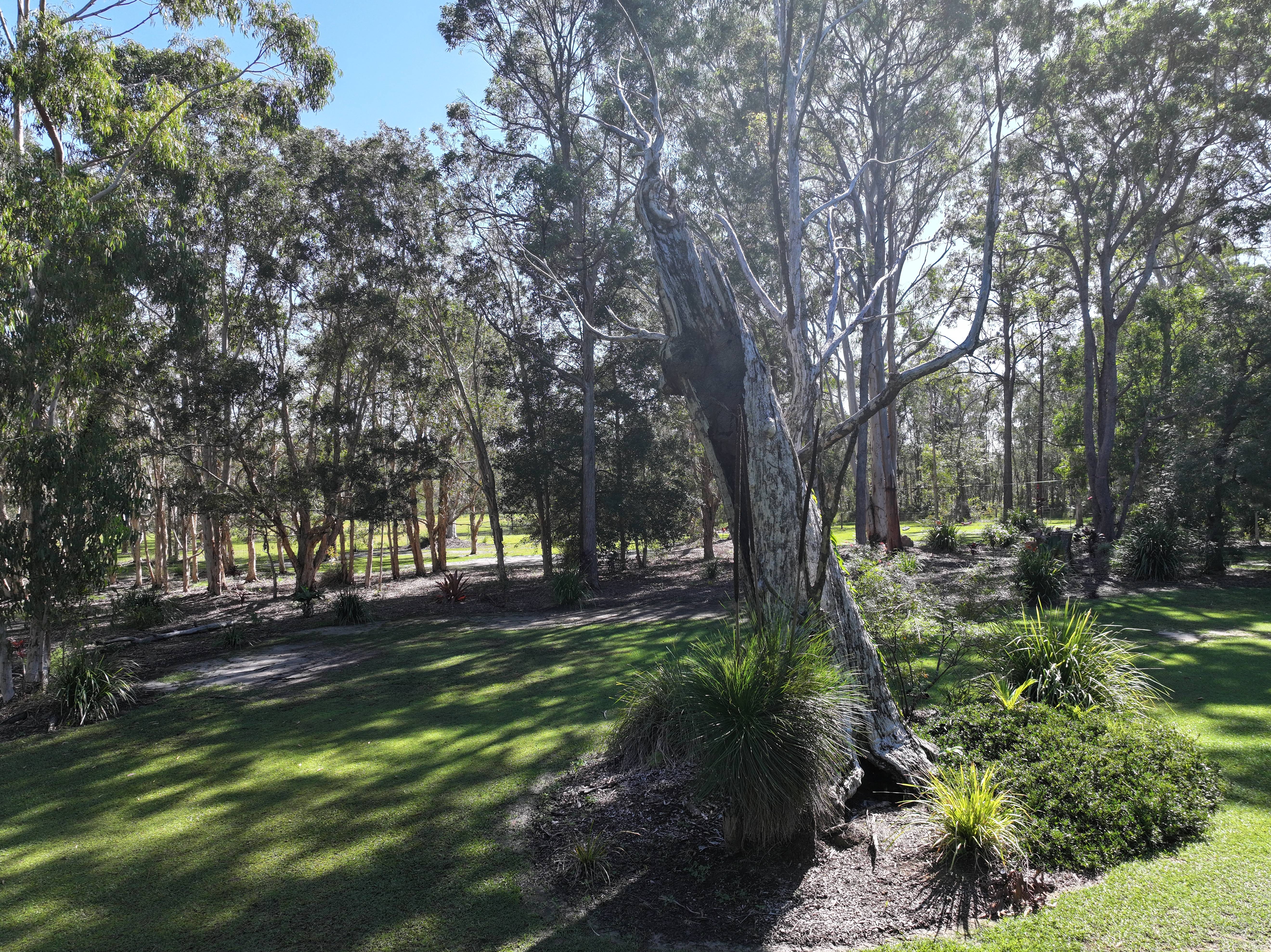 43 Rutch Road DOONAN QLD 4562, Doonan - Thumbnail 8