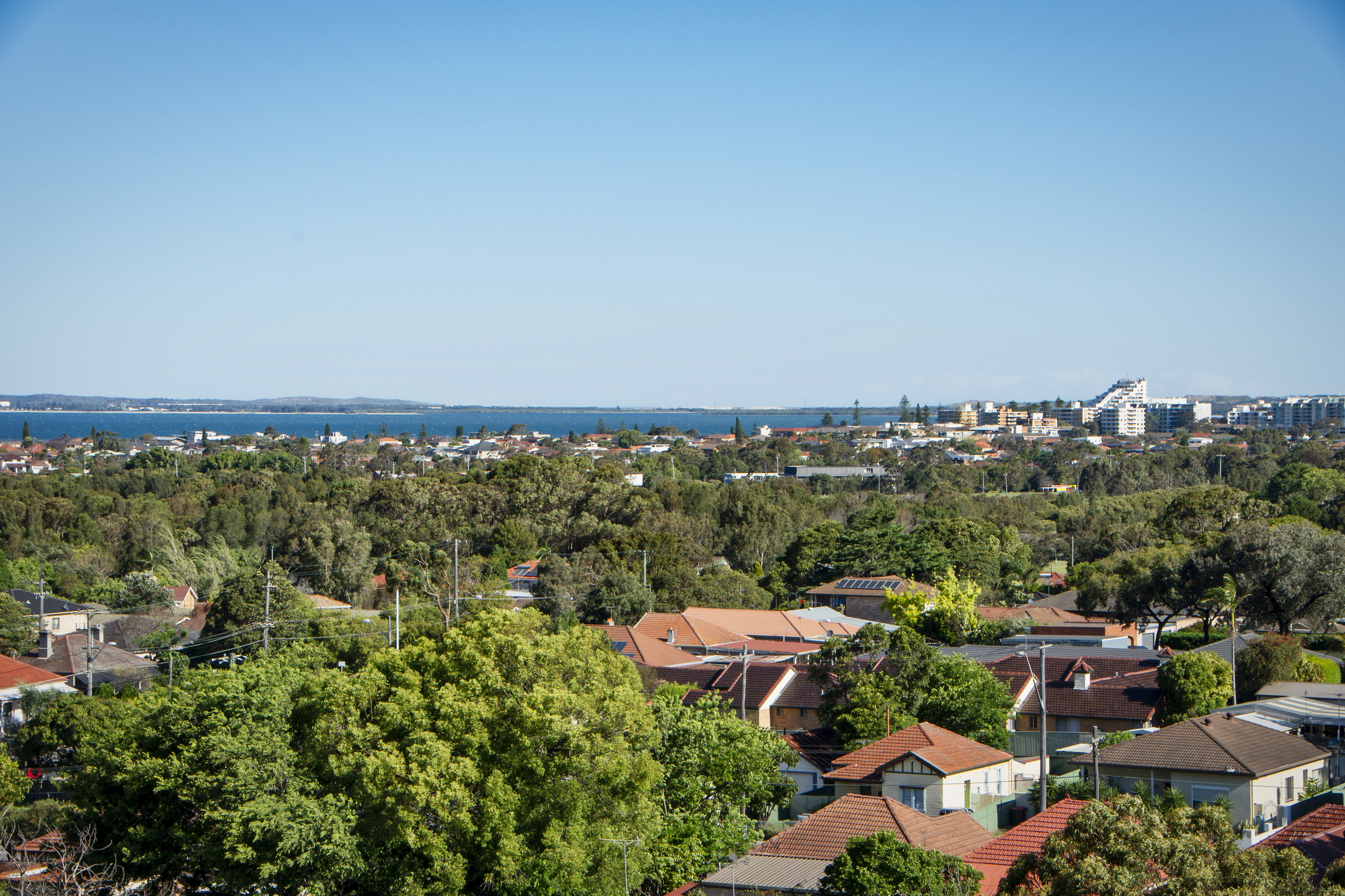 The Size Will Surprise. 