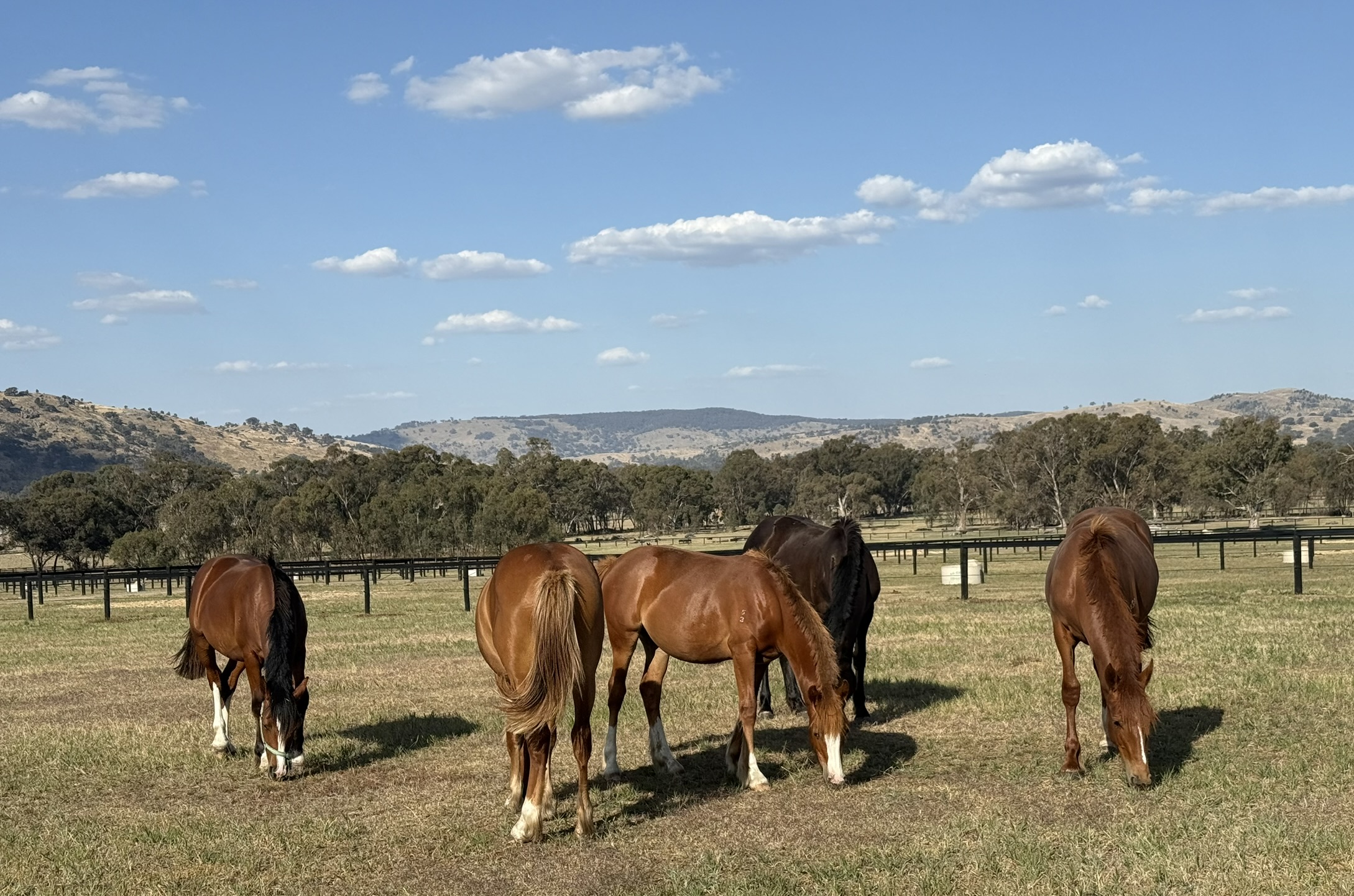 Lot 1/2 Millards Lane, Euroa For Sale by Farmbuy.com - image 24