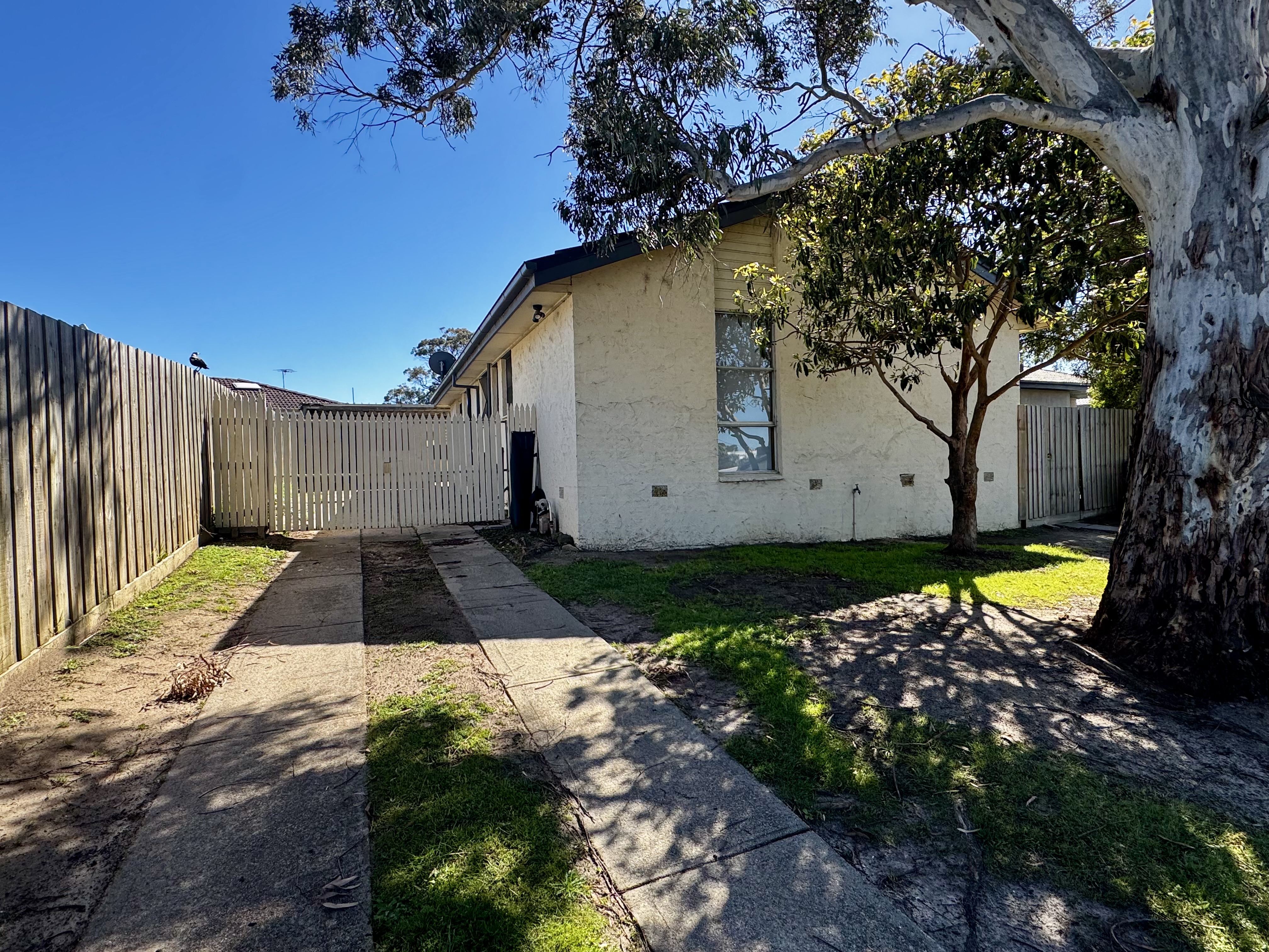 22 Richardson Drive, Mornington For Lease by Abode Peninsula