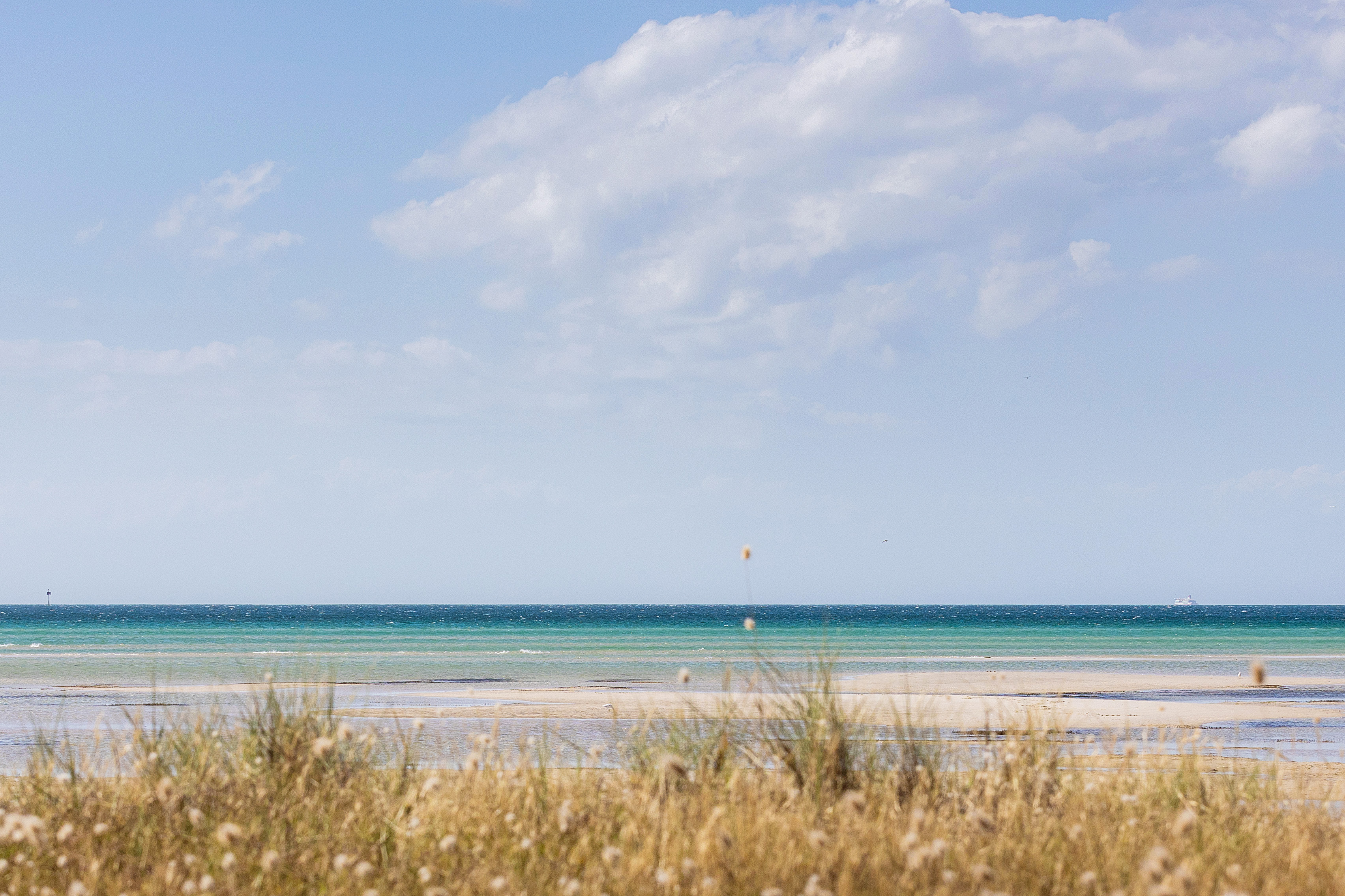 23 Rosebud Parade, Rosebud For Sale by Abode Peninsula - image 21