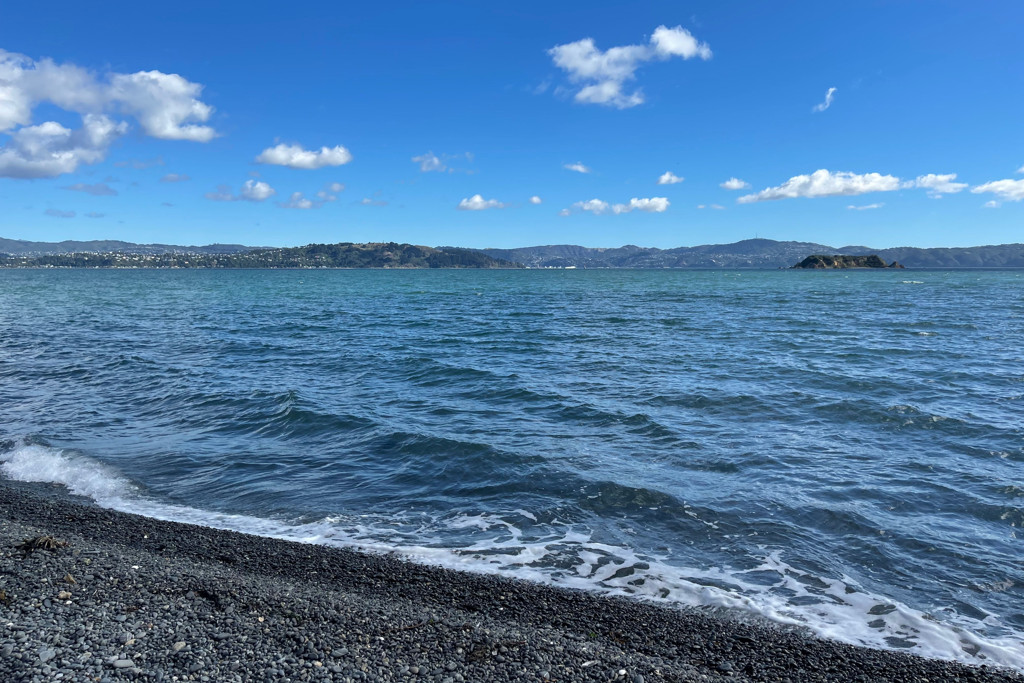 Beach view