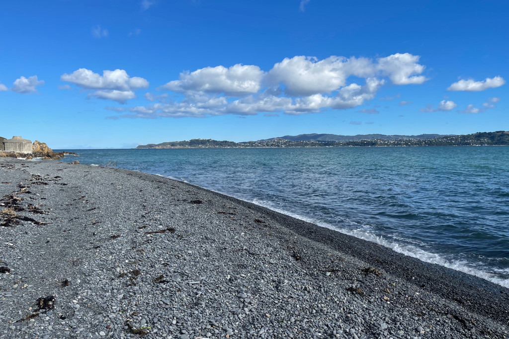 Seatoun