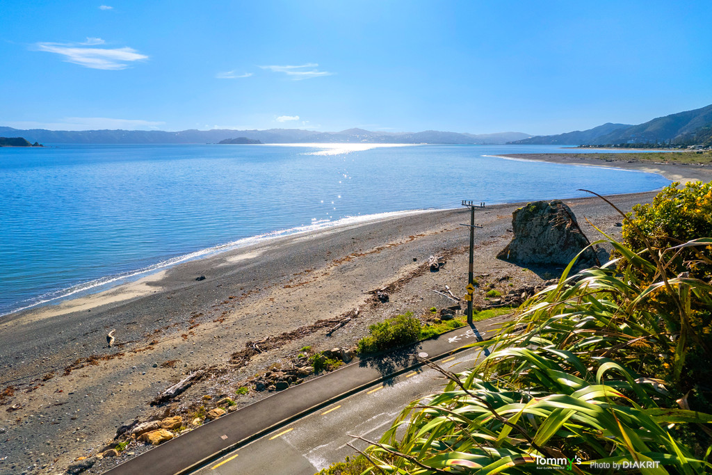 View Petone