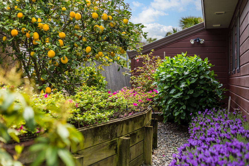 Property Image 20