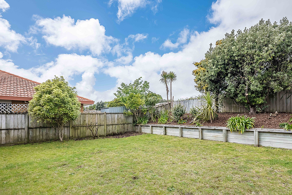 Back garden