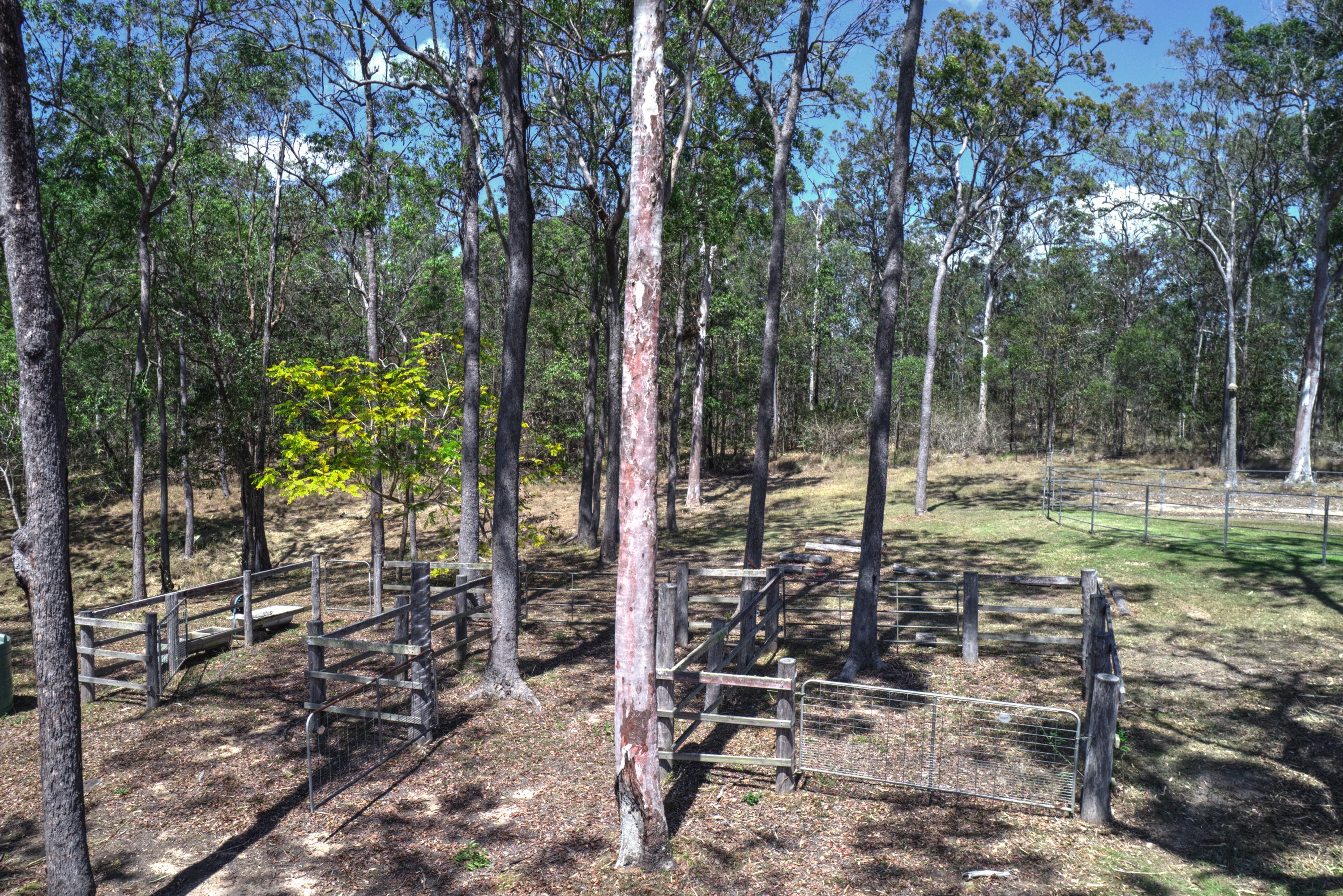 335-349 Boyle Road, Belli Park For Sale by Farmbuy.com - image 24