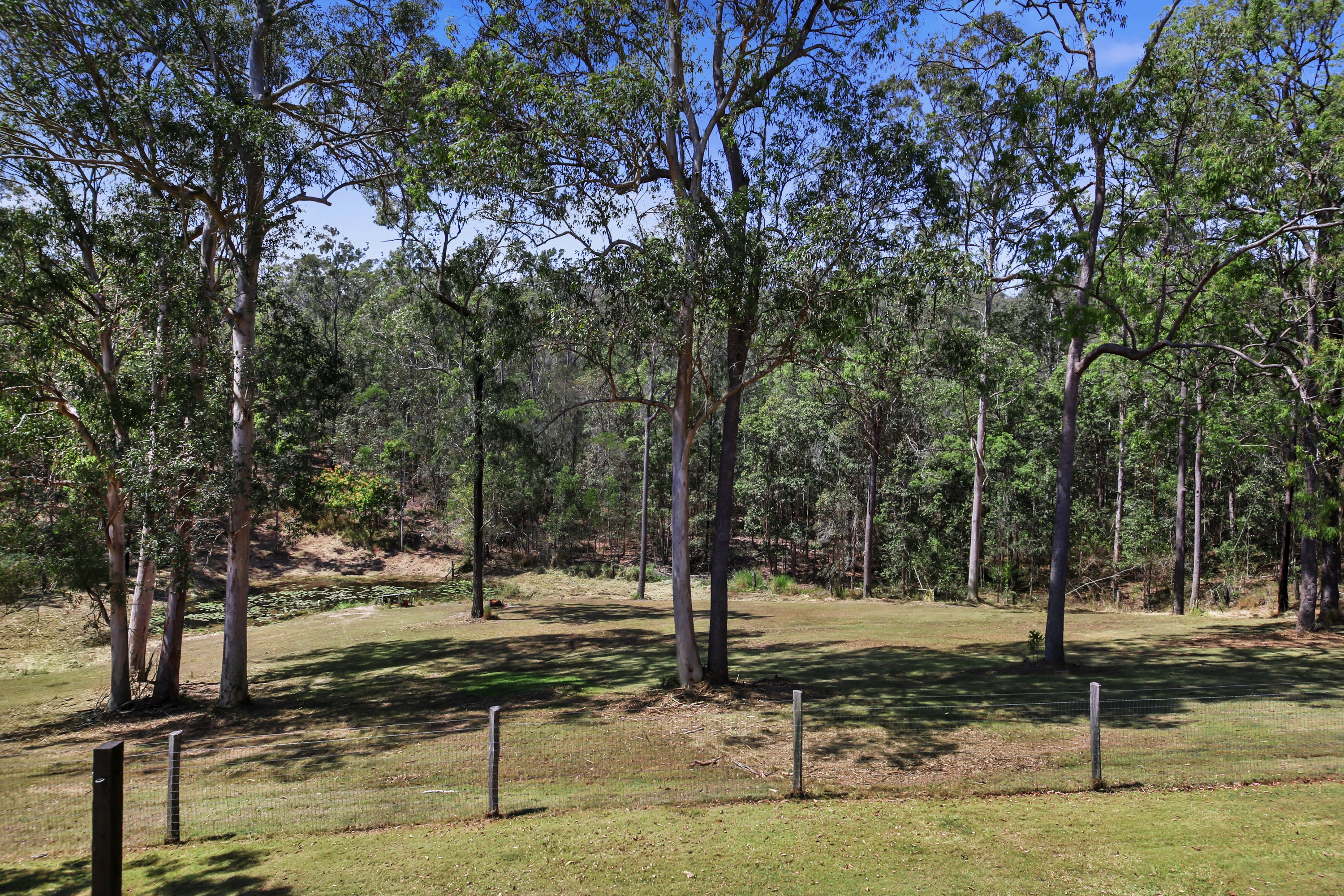 335-349 Boyle Road, Belli Park For Sale by Farmbuy.com - image 18