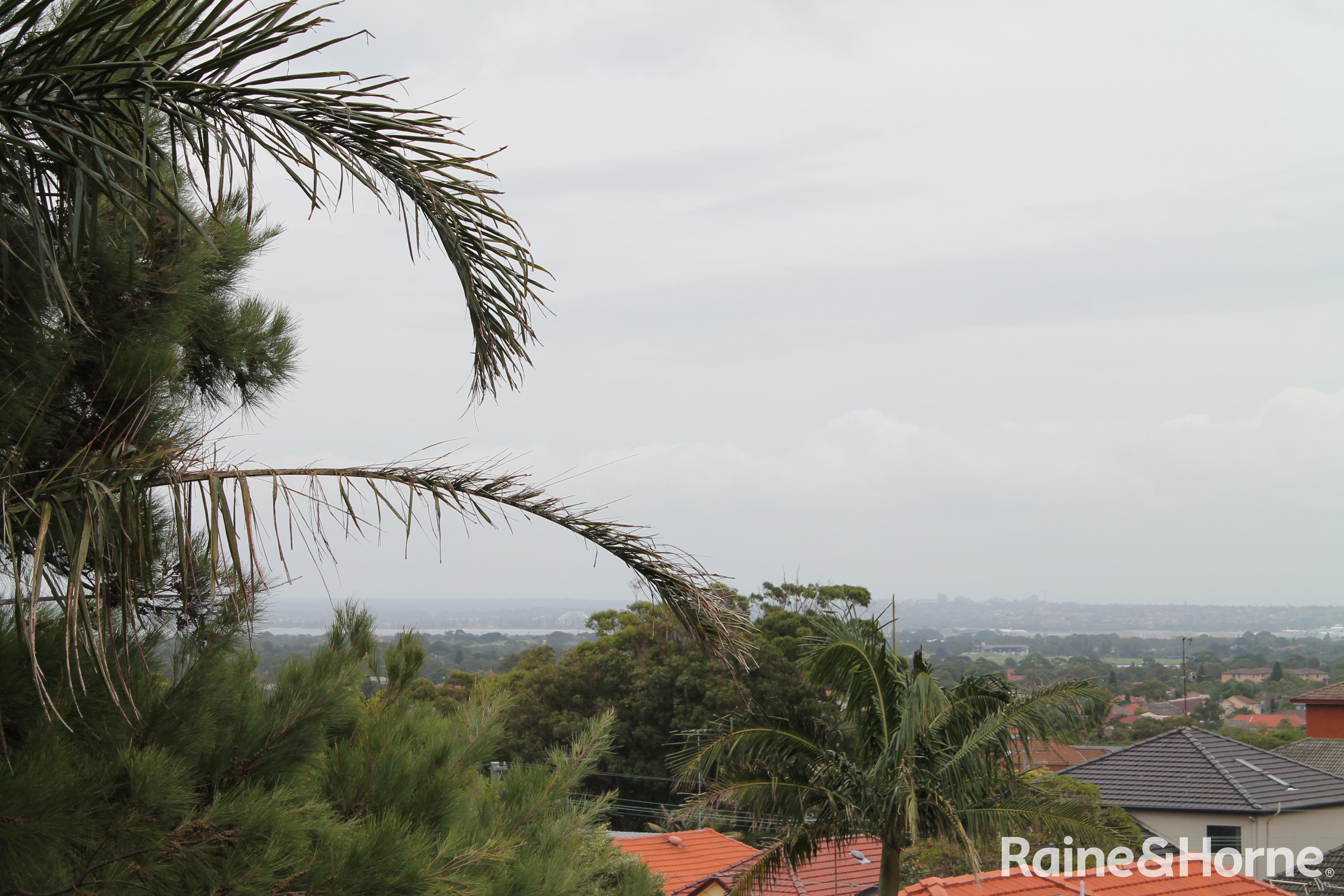 6/76 Oberon Street, Randwick For Lease by Raine & Horne Randwick | Coogee | Clovelly - image 8