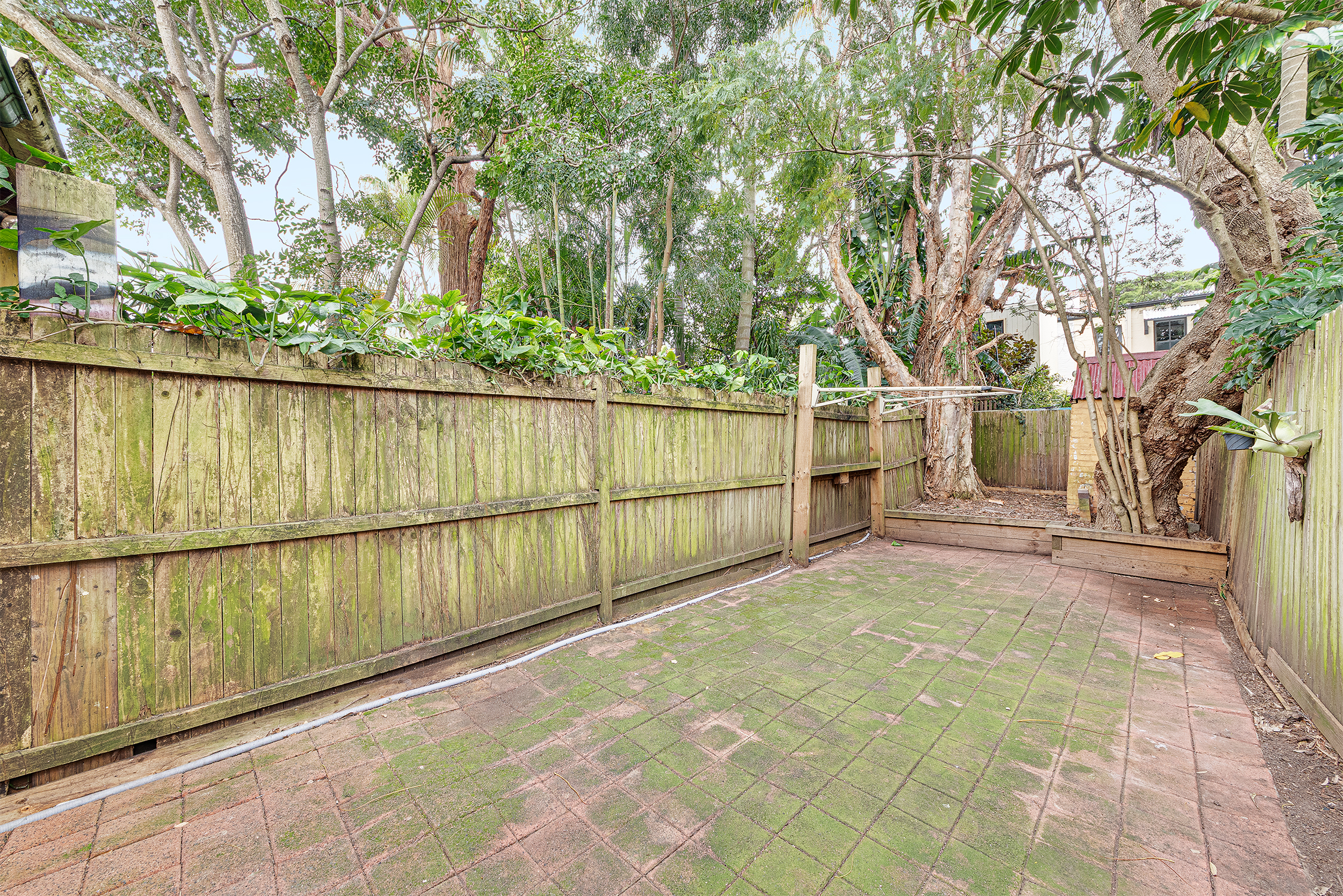 118 Simmons Street, Enmore Leased by Raine & Horne Randwick | Coogee | Clovelly - image 6