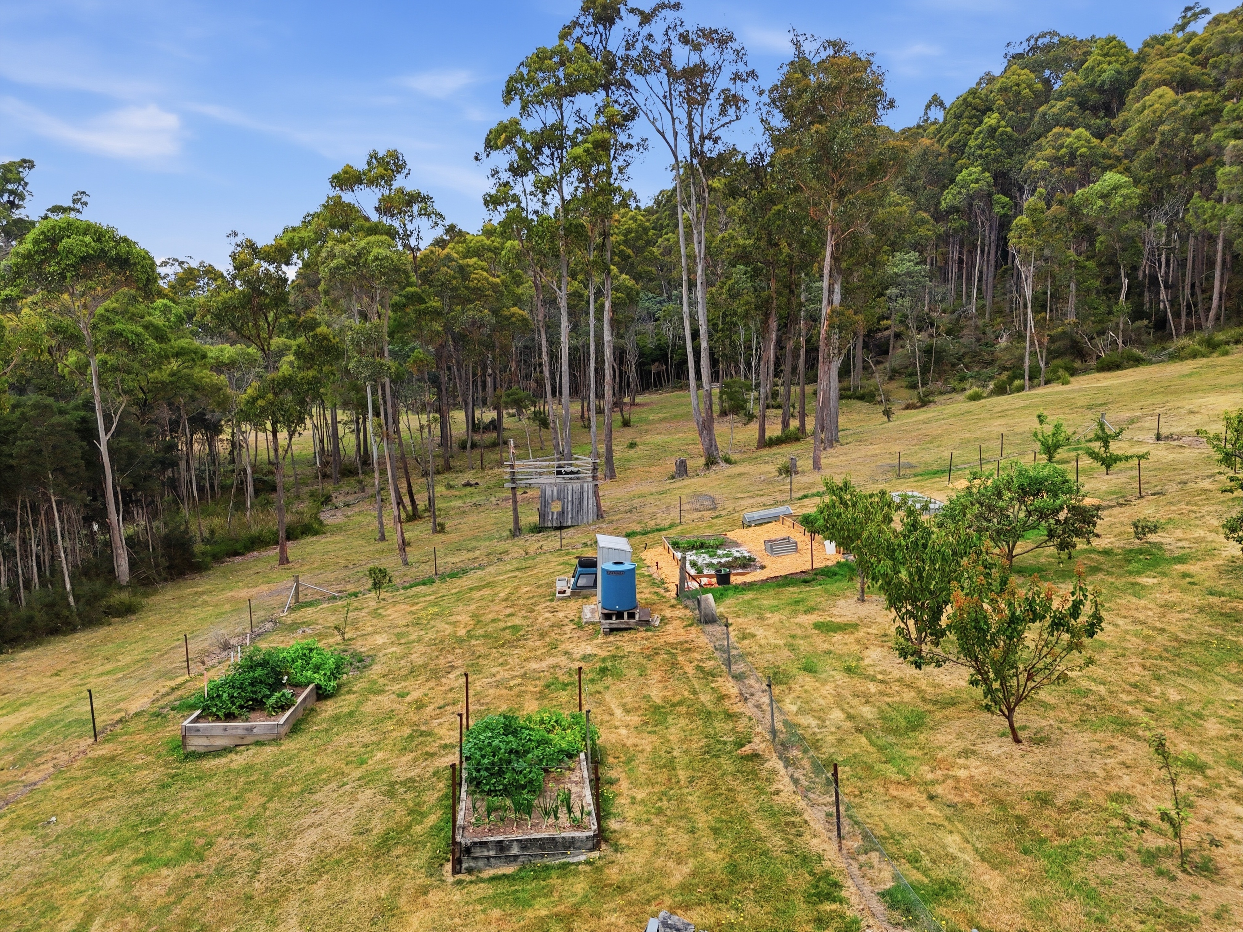 867 Turkey Farm Road South, Bridgenorth For Sale by Farmbuy.com - image 31