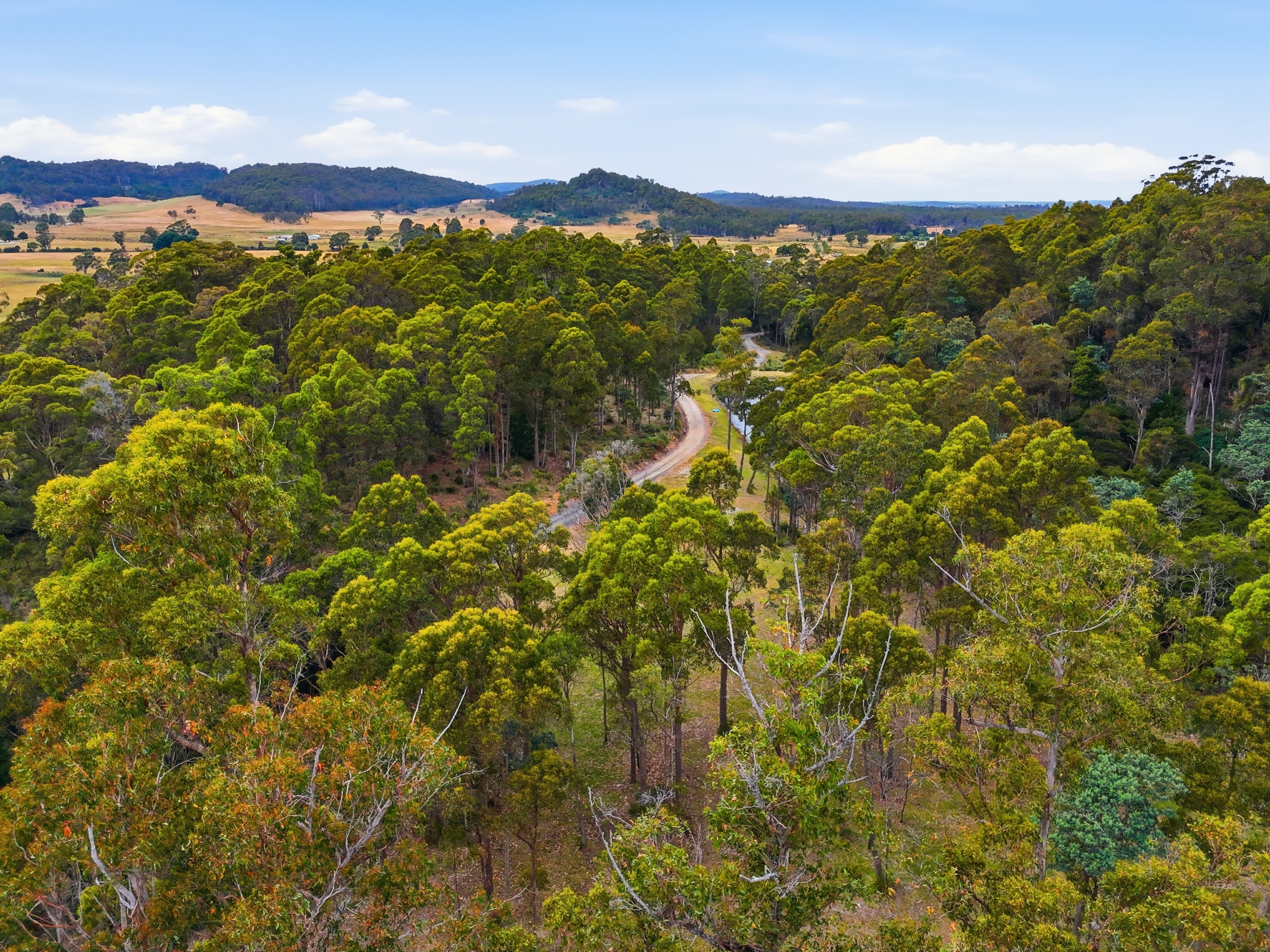 867 Turkey Farm Road South, Bridgenorth For Sale by Farmbuy.com - image 7