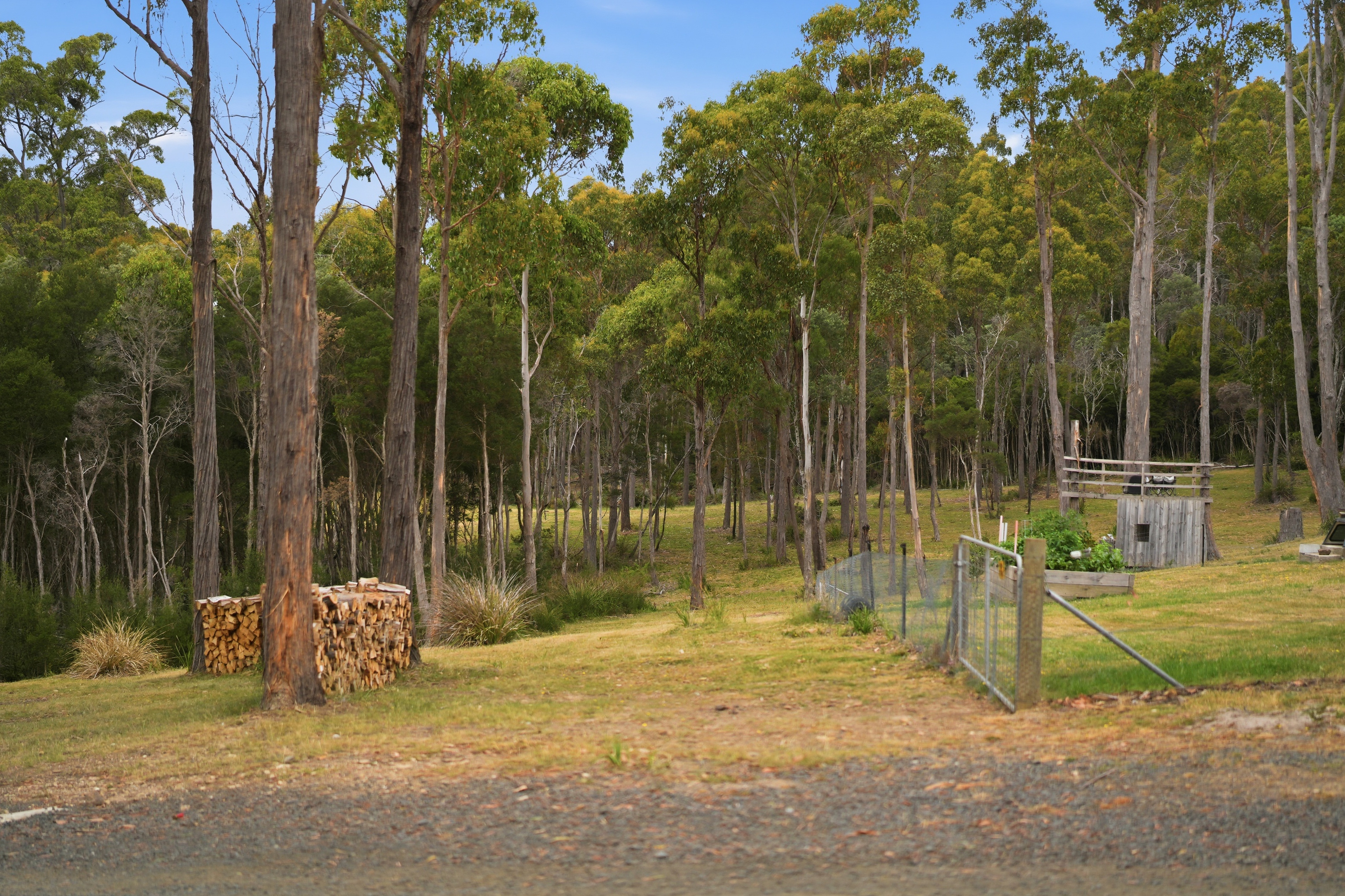 867 Turkey Farm Road South, Bridgenorth For Sale by Farmbuy.com - image 29