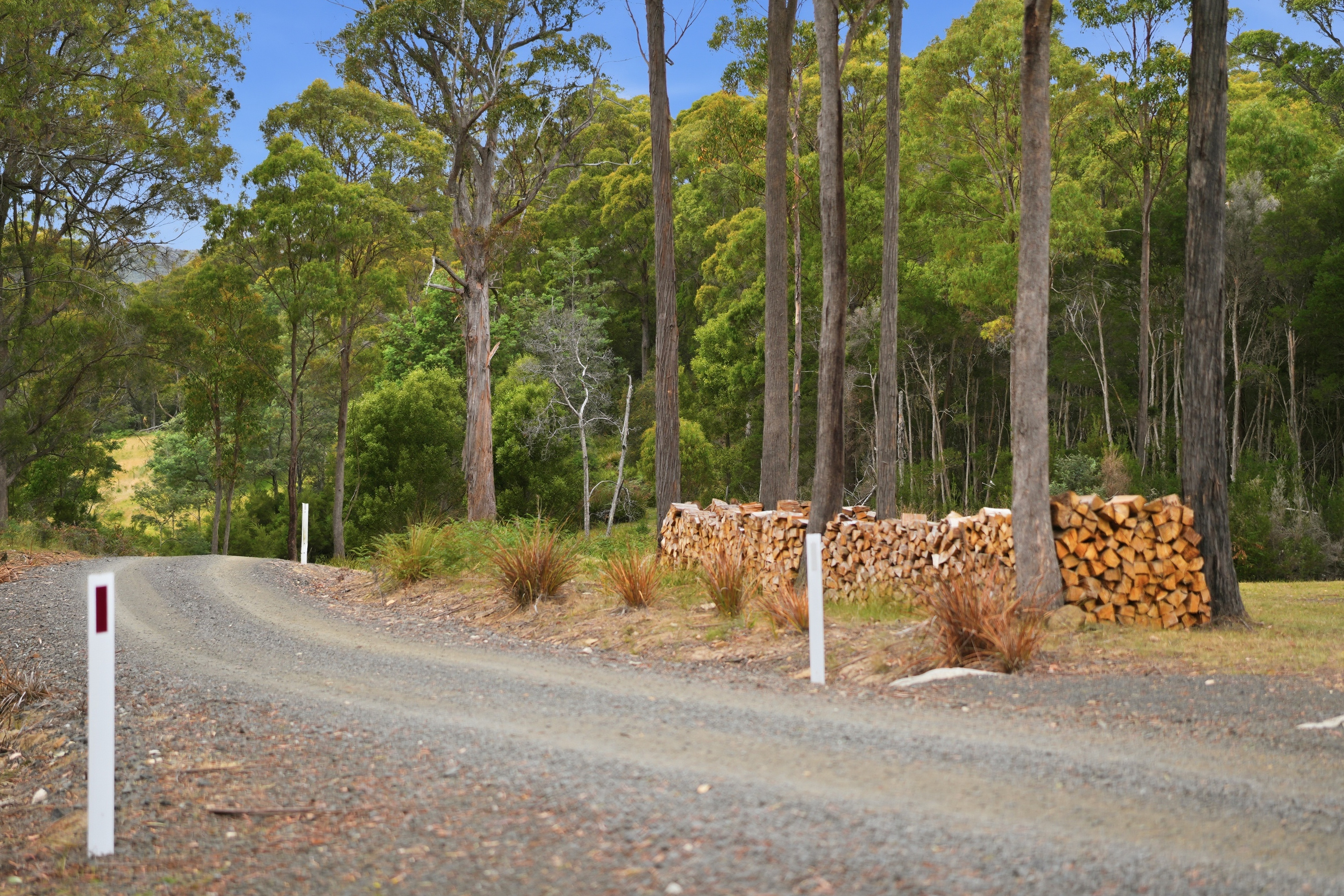 867 Turkey Farm Road South, Bridgenorth For Sale by Farmbuy.com - image 30