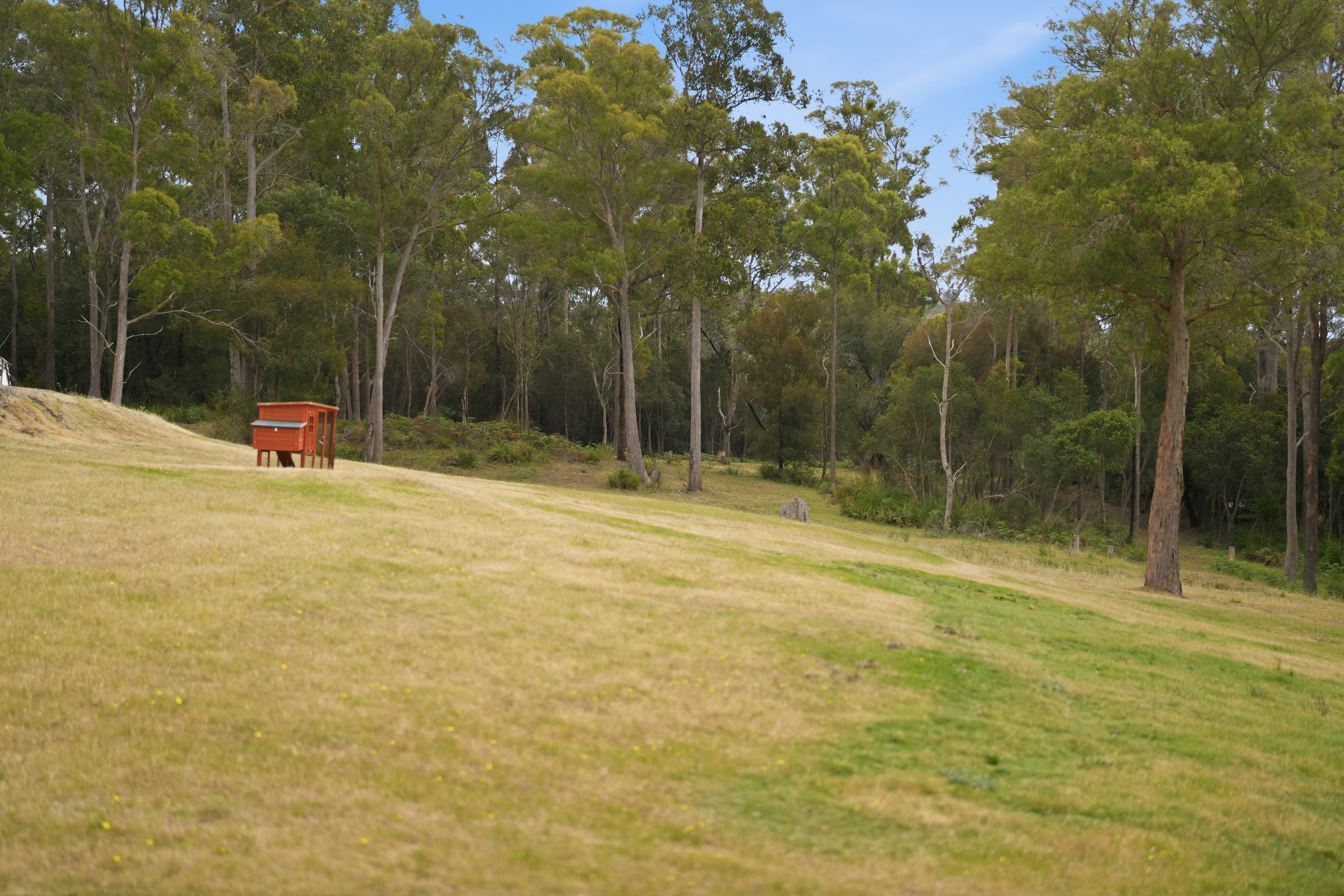867 Turkey Farm Road South, Bridgenorth For Sale by Farmbuy.com - image 32