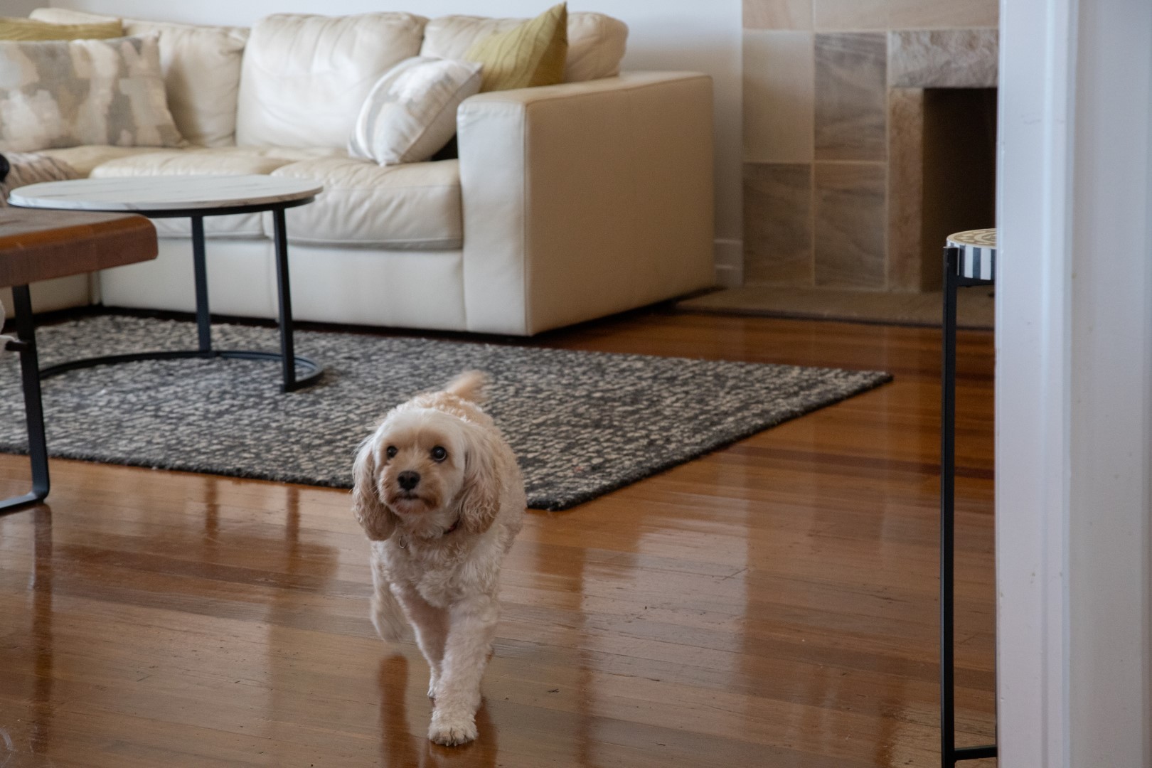 2 Macalister Street, Ipswich - Thumbnail 8