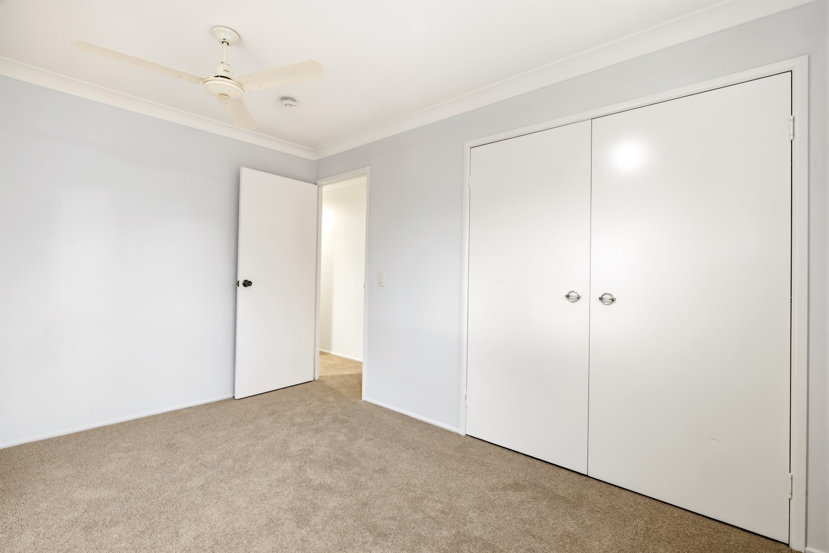 6 Farrell Drive, Walloon - Thumbnail 7