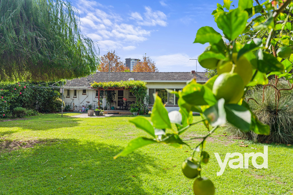 8 Rookwood Street, Mount Pleasant WA, Mount Pleasant - Thumbnail 6