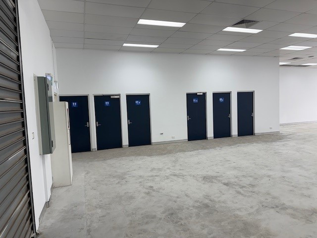Img 161209324