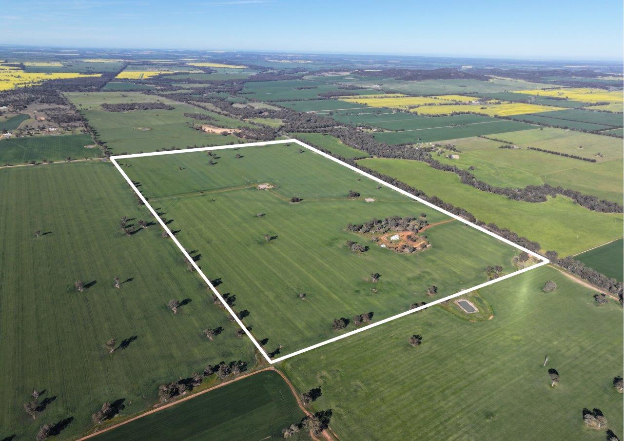 'Glencoe' 1700 Morangarell Road, Temora NSW 2666