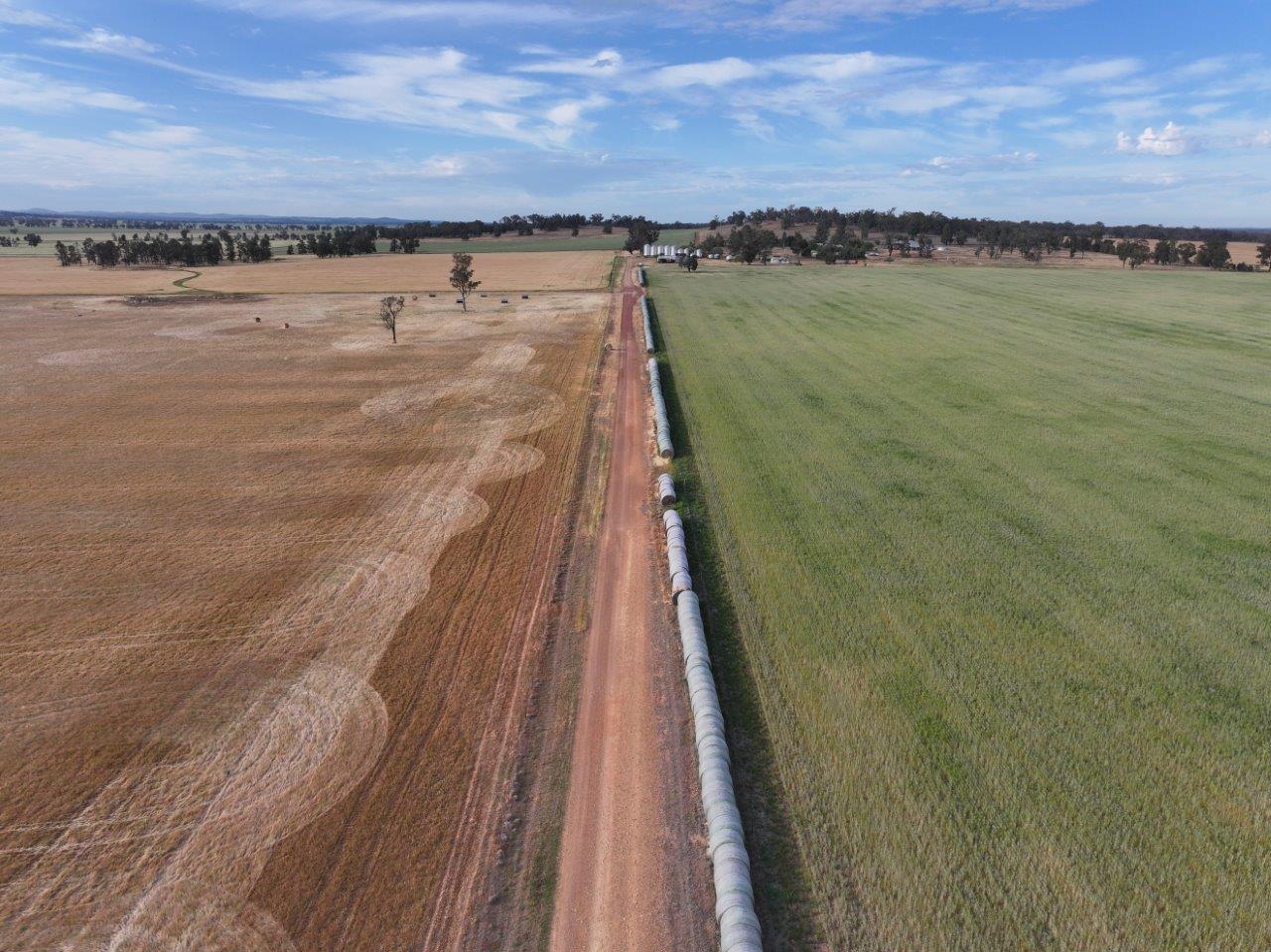 'Wyoming' 1079 Davidsons Road, Temora NSW 2666