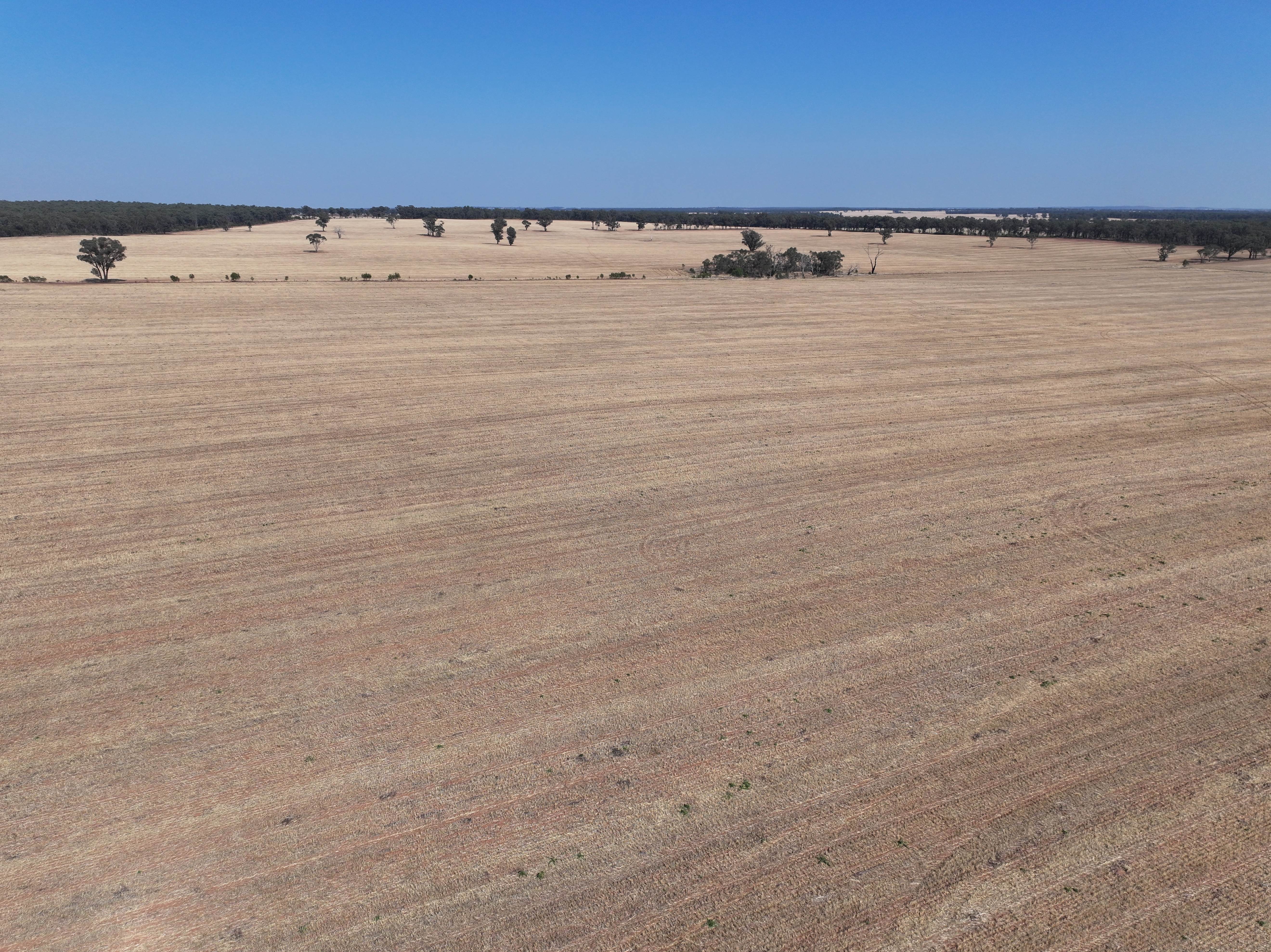 'WATTLEVALE' 875 SCHMITS LANE, Gidginbung NSW 2666